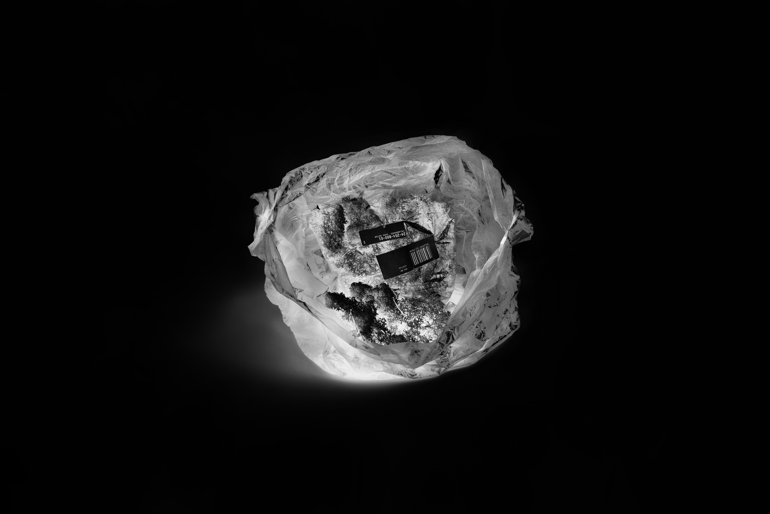 Consuming Nature. Maria Bogachek Photography