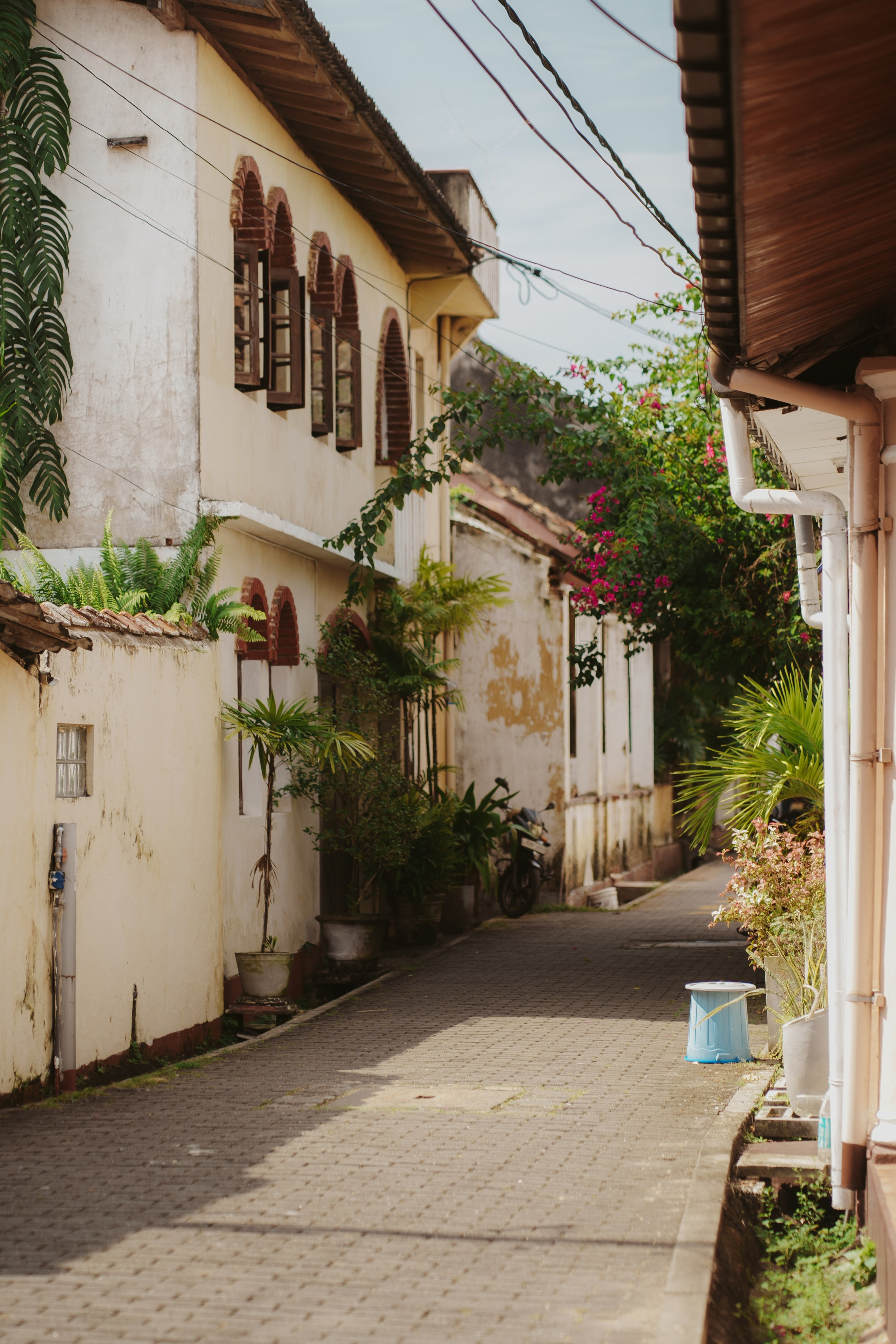 Серф-тур на Шри-Ланку: 12 дней у океана (16-27 Марта)