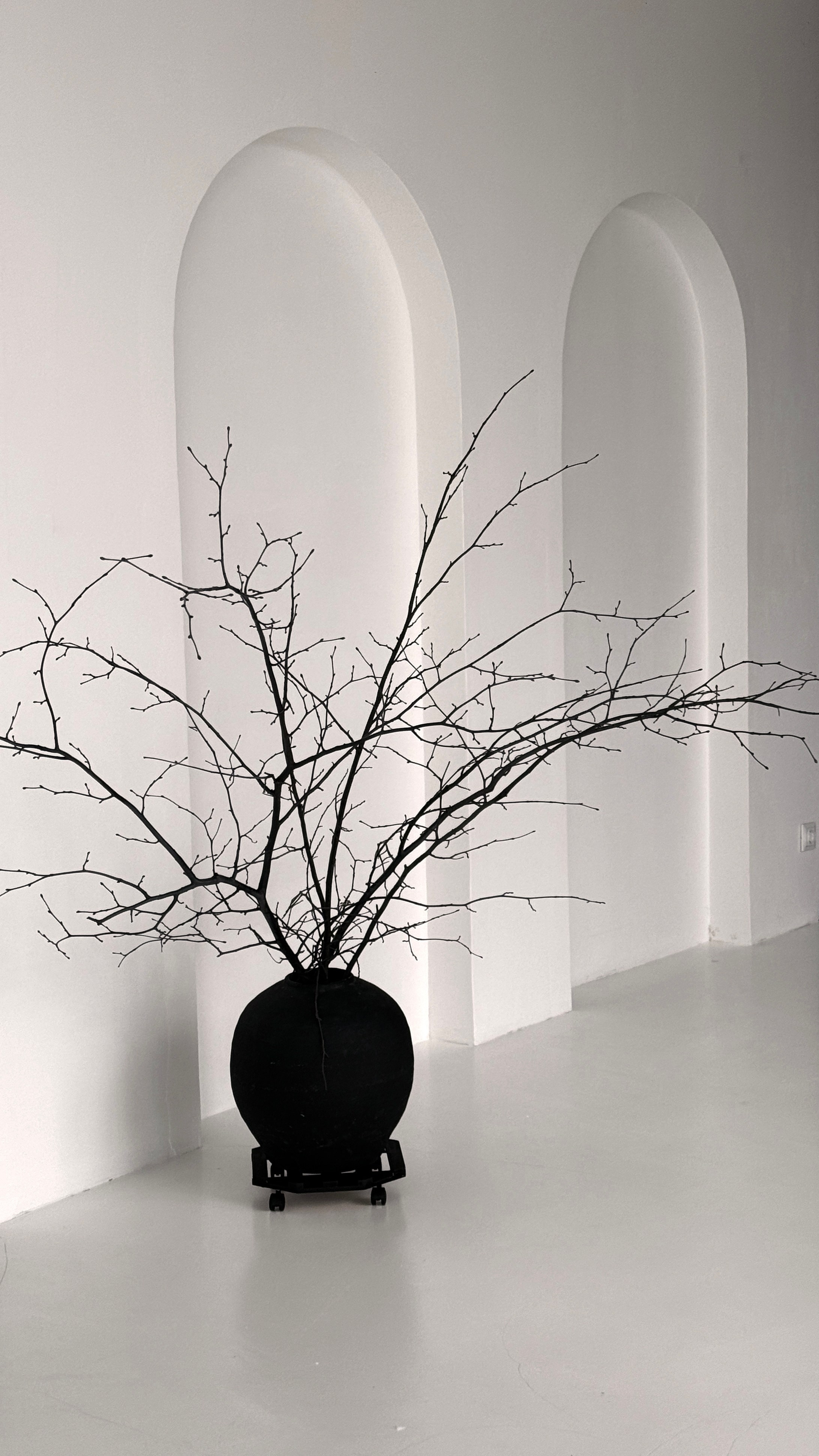 FRIDA. Fotostudija VEF Rīga