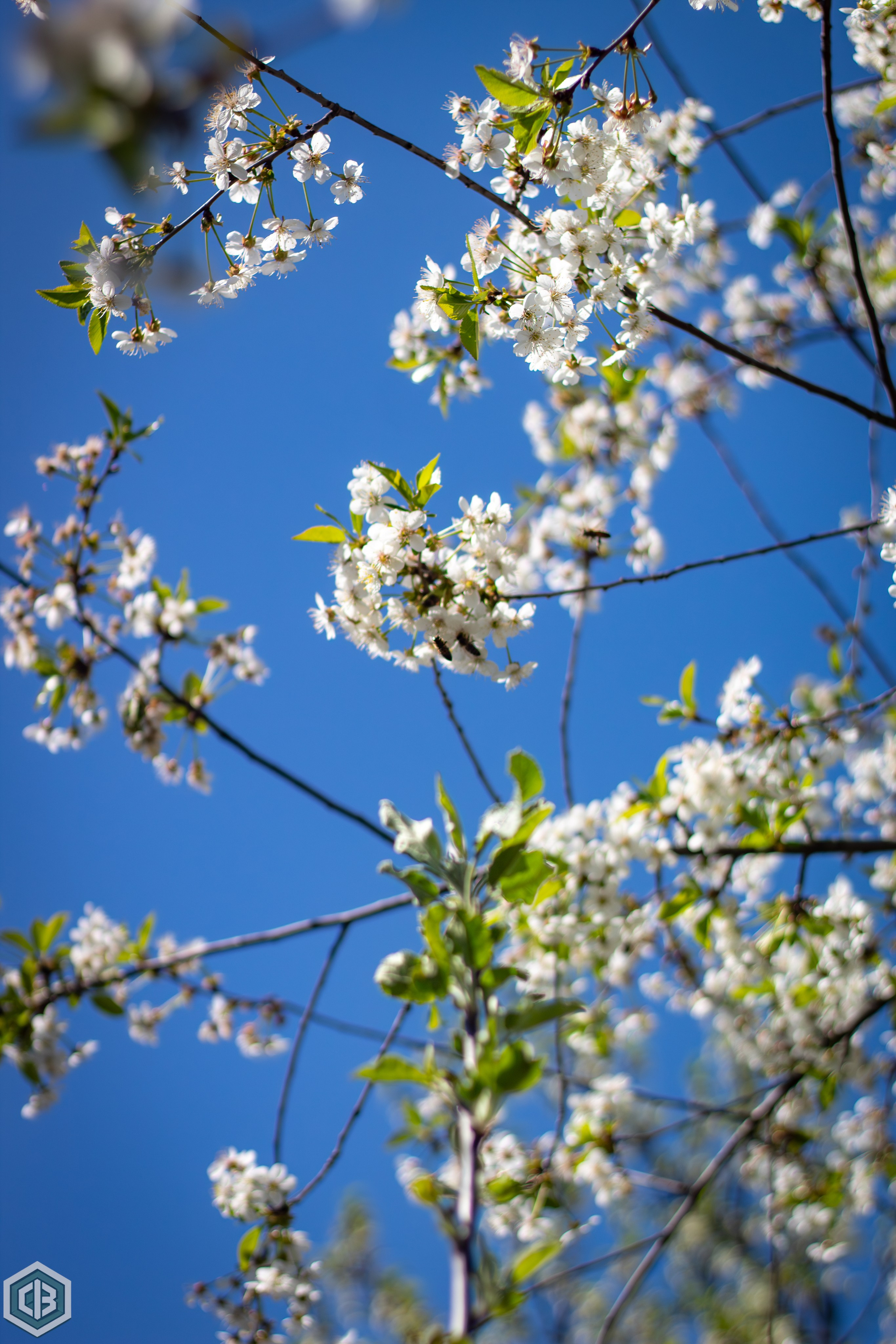 Trip to Mileanca. Cristian Baltag | Photography | Capturing Moments in Iasi