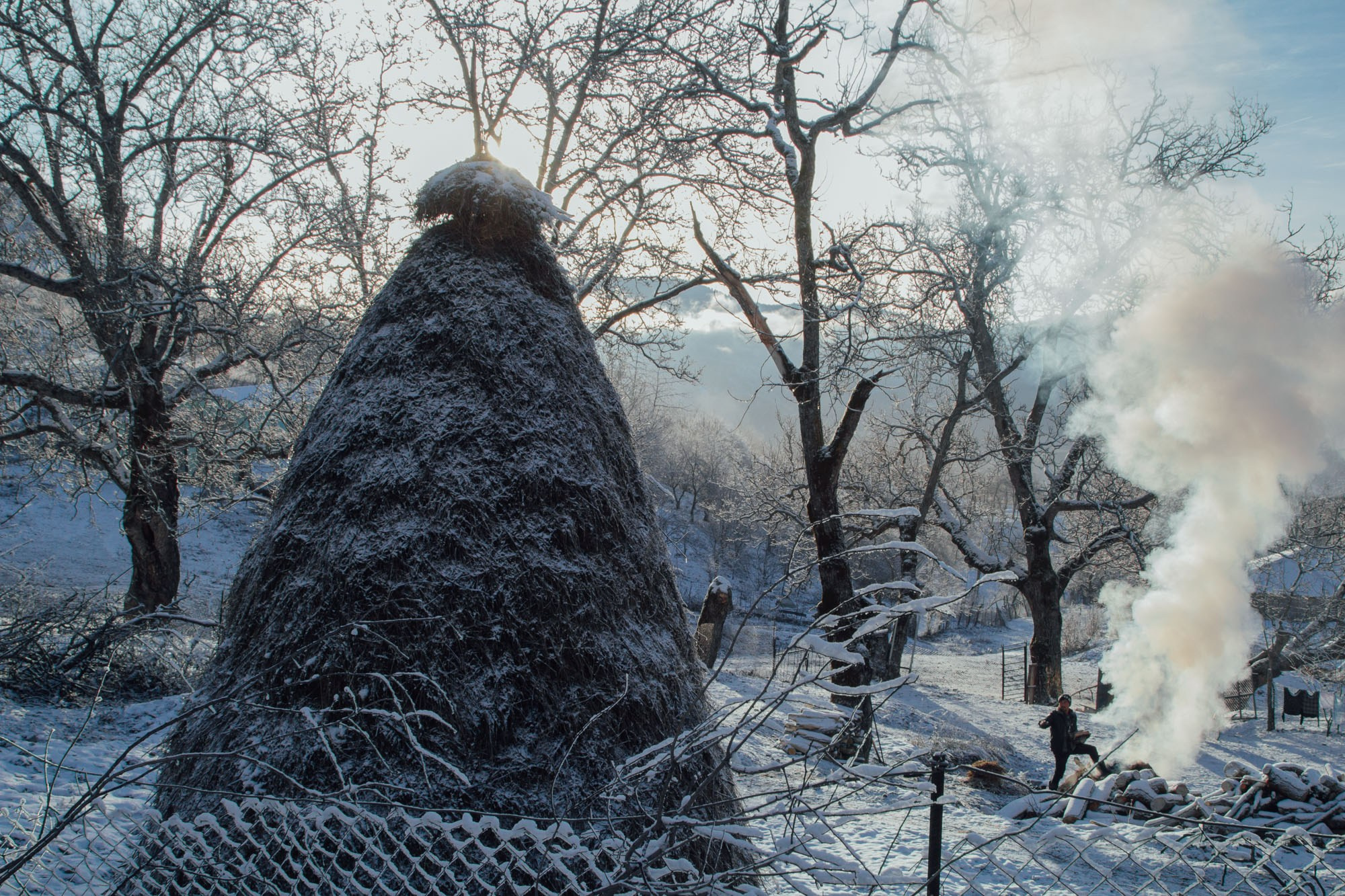 Təbiət Fotoqrafiyası və Portret Çəkilişləri. Bakıda Peşəkar Tədbir, Love Story və Təbiət Fotoqrafı — Elşən Baba