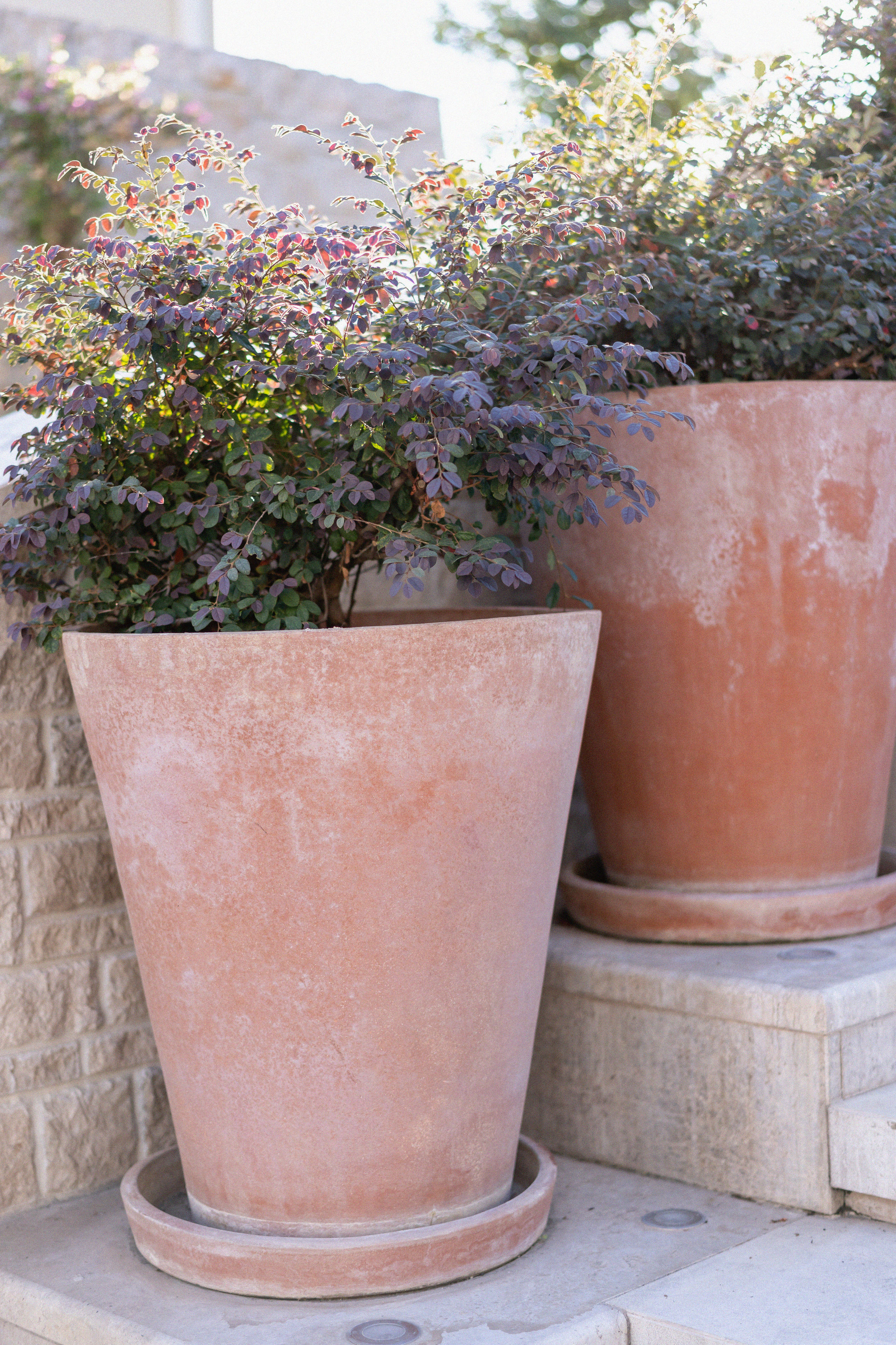 Bojan en Jovanka's bruiloft in Montenegro