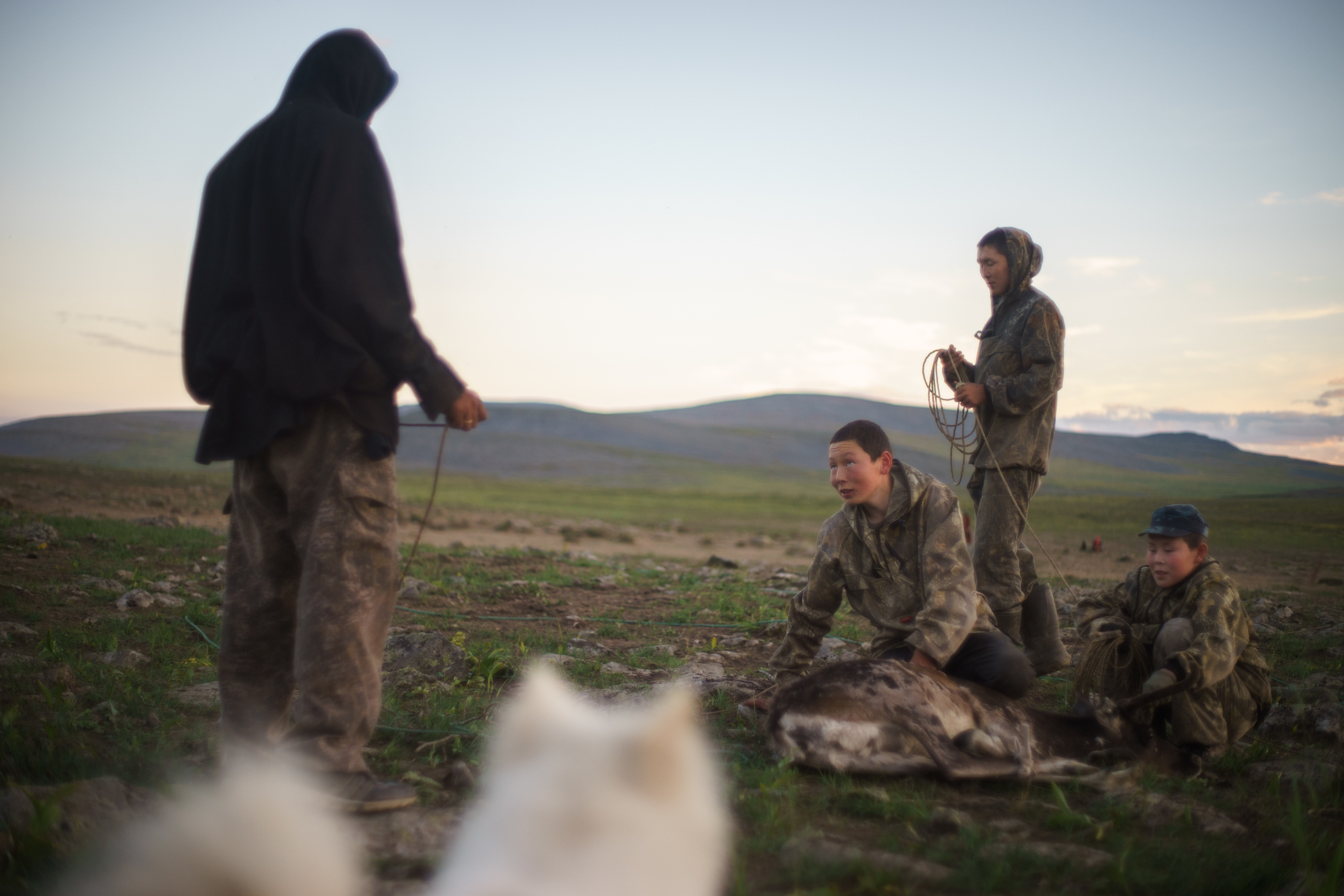 Children of deer. Stanislava Novgorodtseva — Photographer | Visual Artist | Educator