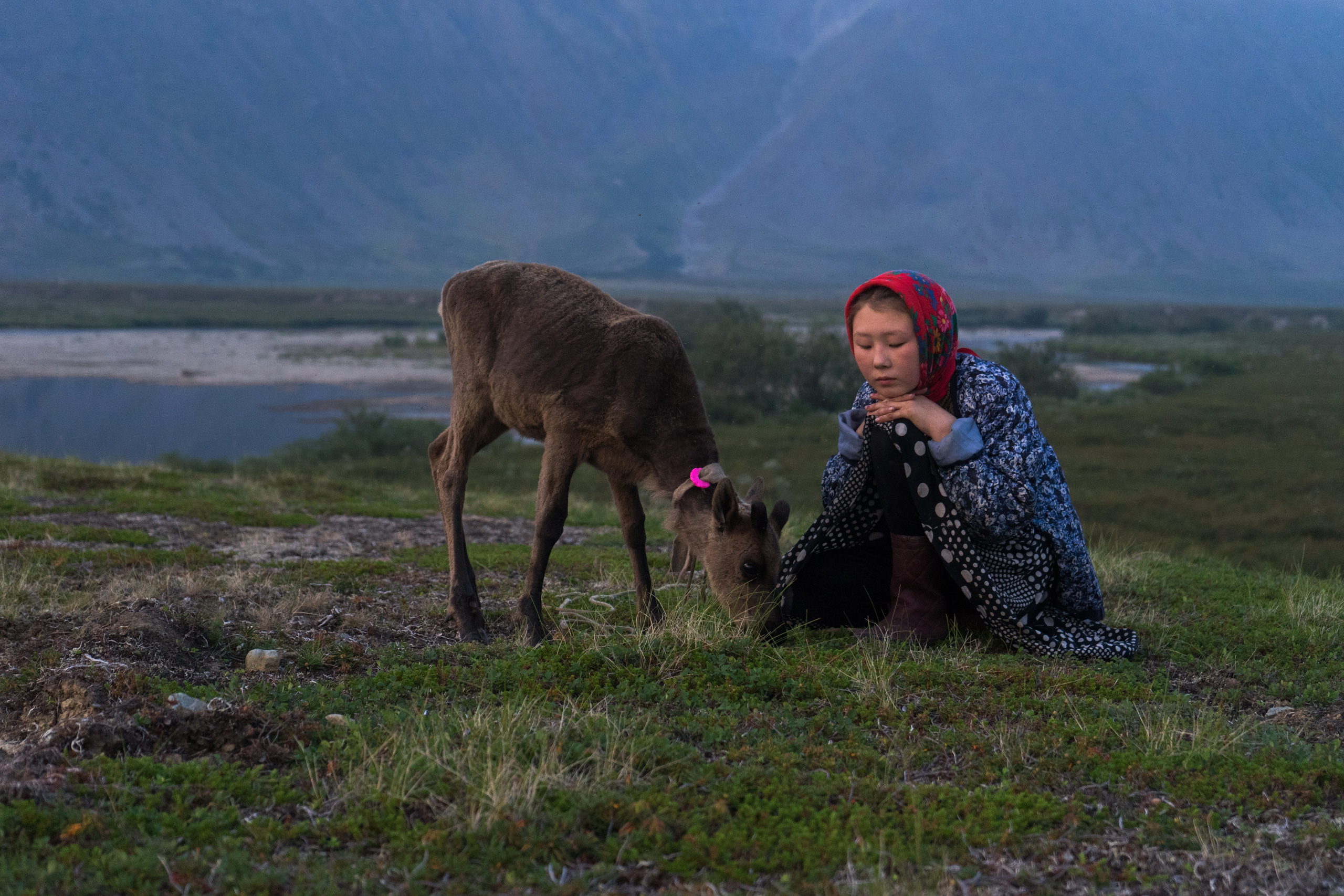 Children of deer. Stanislava Novgorodtseva — Photographer | Visual Artist | Educator