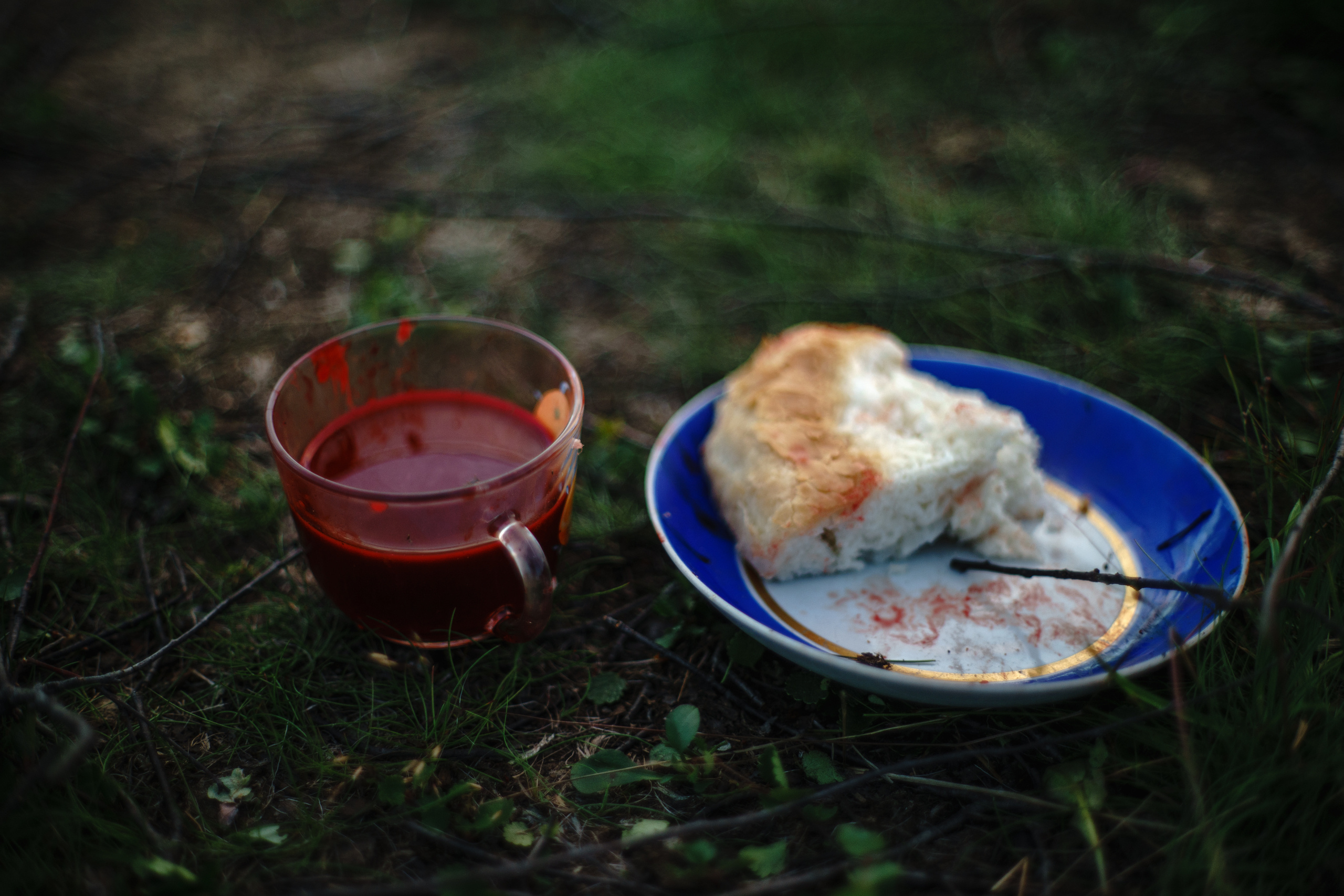 Children of deer. Stanislava Novgorodtseva — Photographer | Visual Artist | Educator