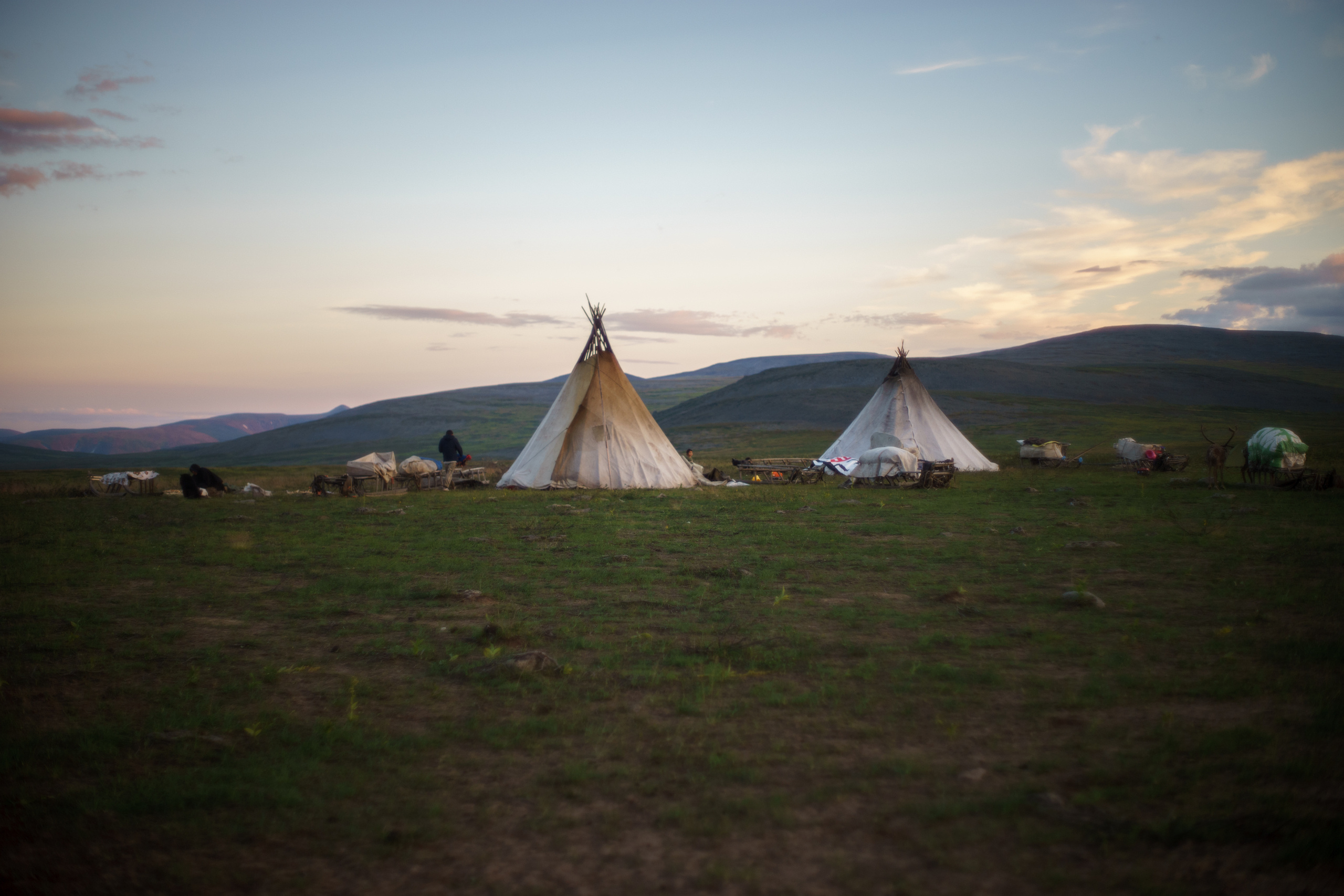 Children of deer. Stanislava Novgorodtseva — Photographer | Visual Artist | Educator