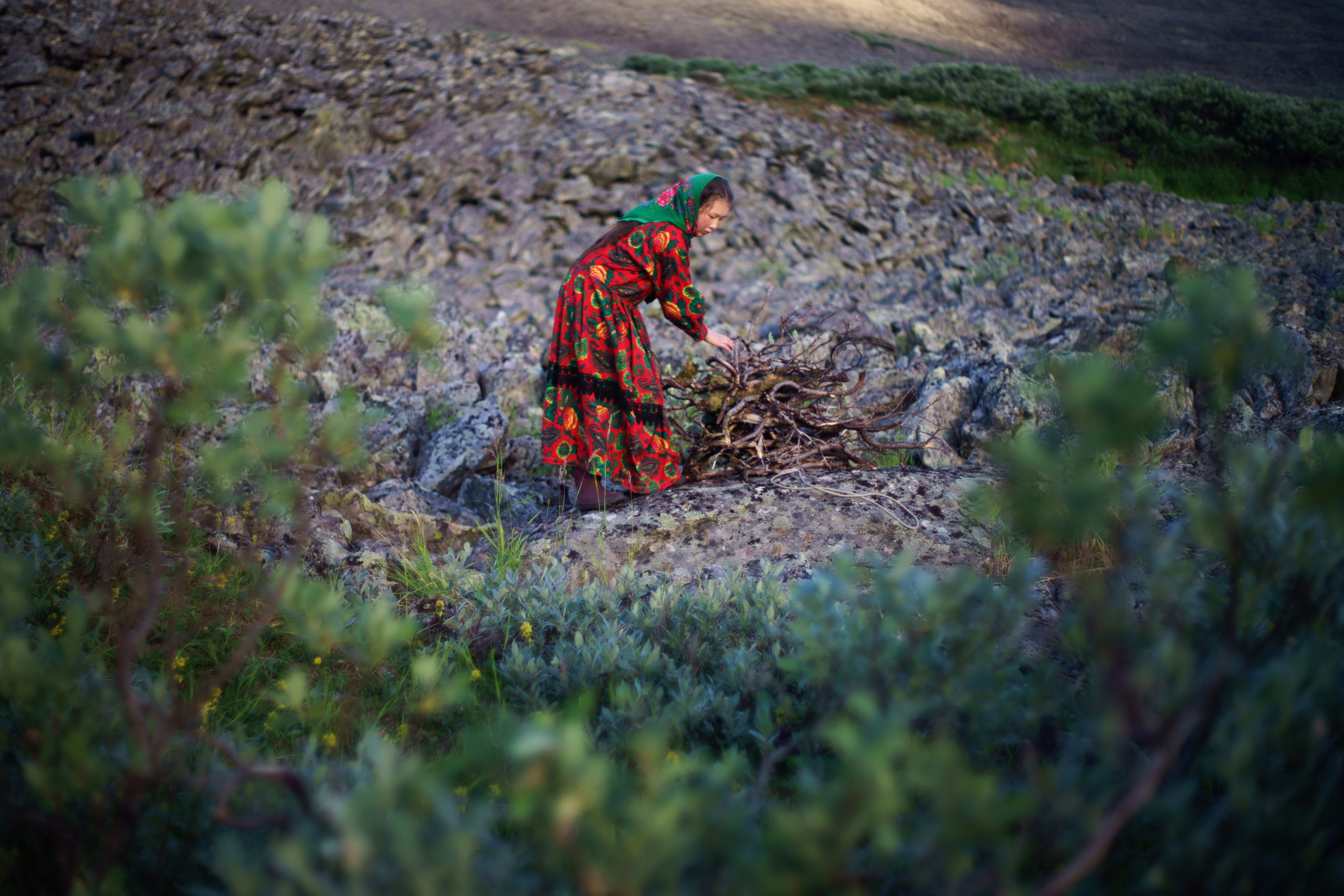 Children of deer. Stanislava Novgorodtseva — Photographer | Visual Artist | Educator