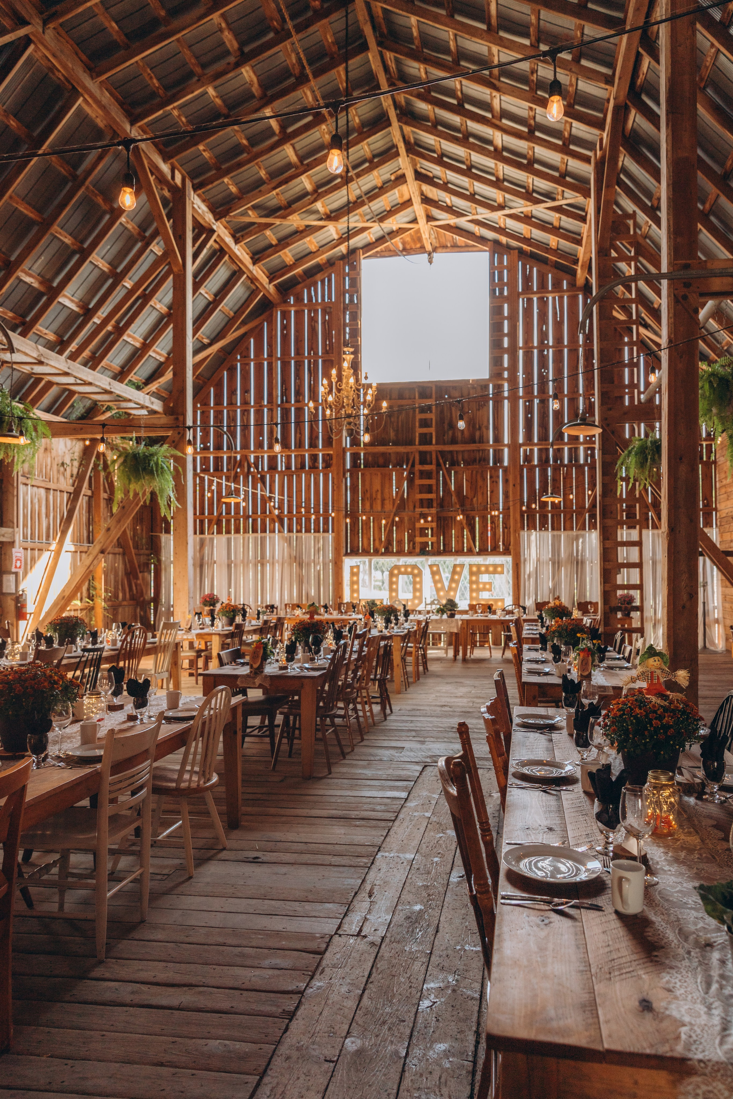 Engagement & Weddings. Kitchener Waterloo Cambridge Photographer — Olga Ro