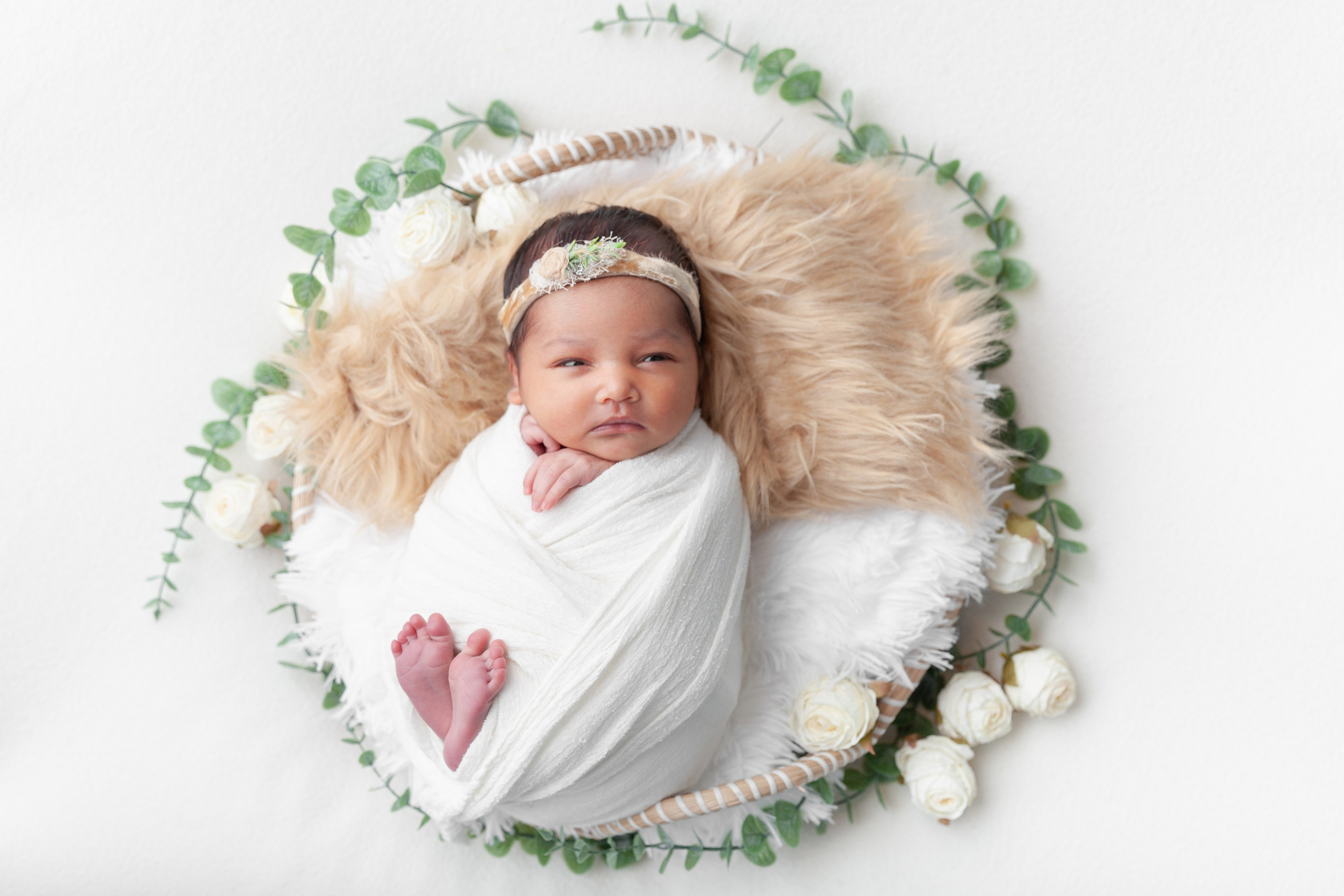 Services. Marina Pravda Photography San Francisco Bay Area