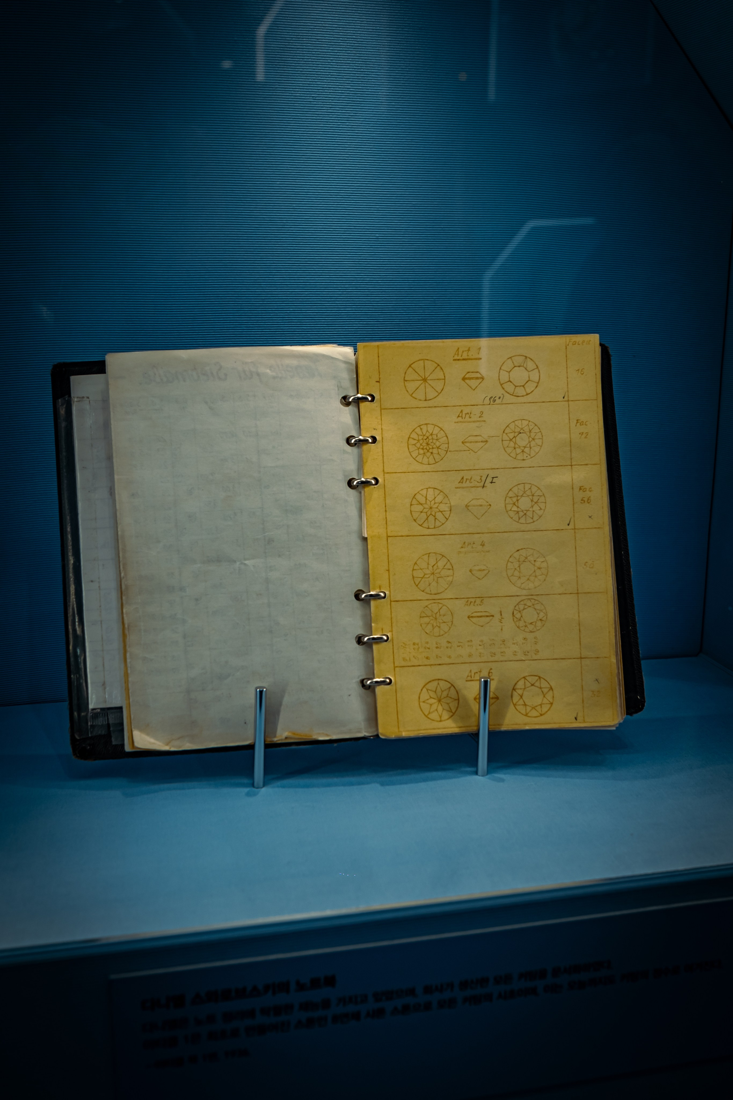 SWAROVSKI. Photographer in Seoul Dobrokvashina Natalya