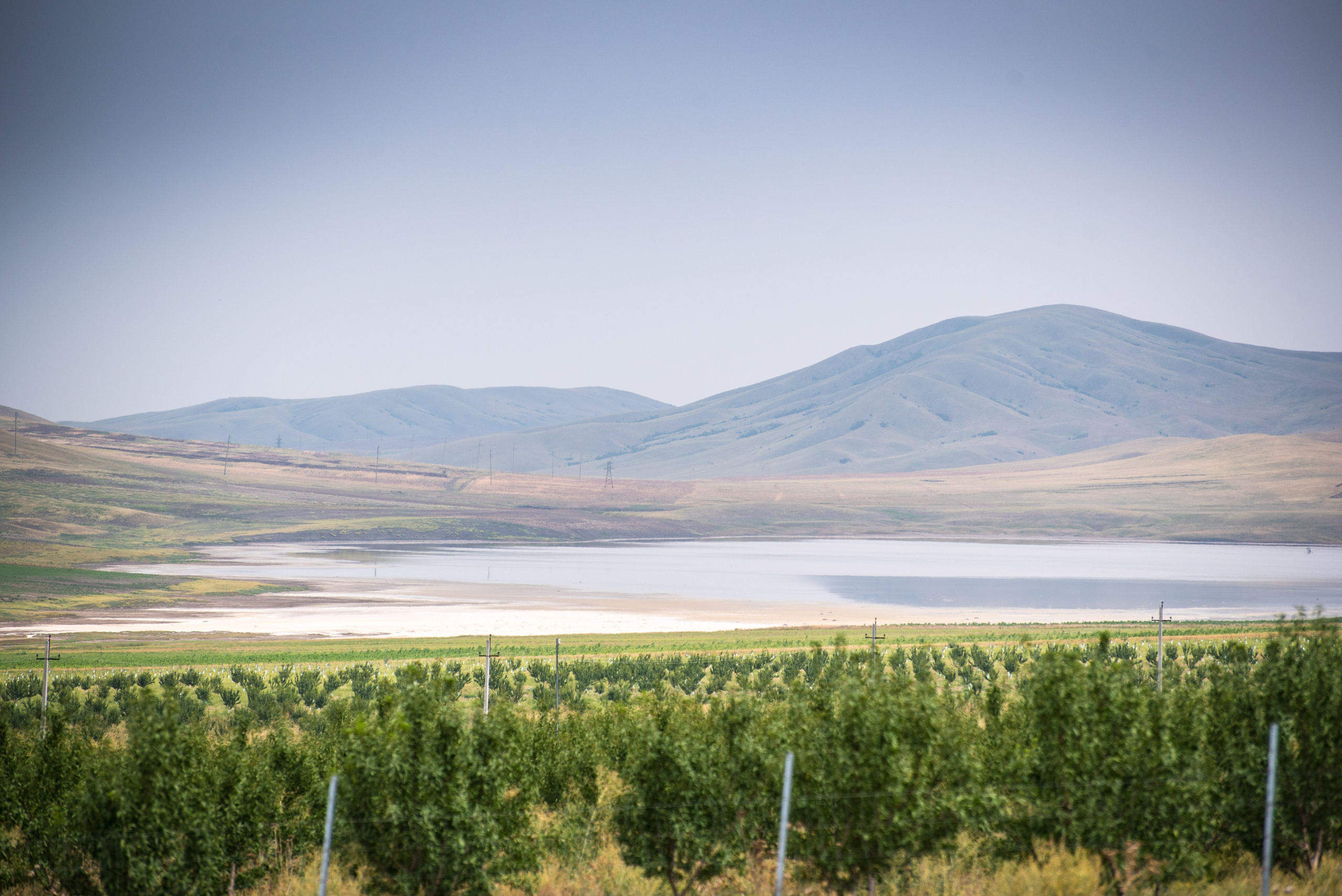 Gareji. Photographer in Tbilisi