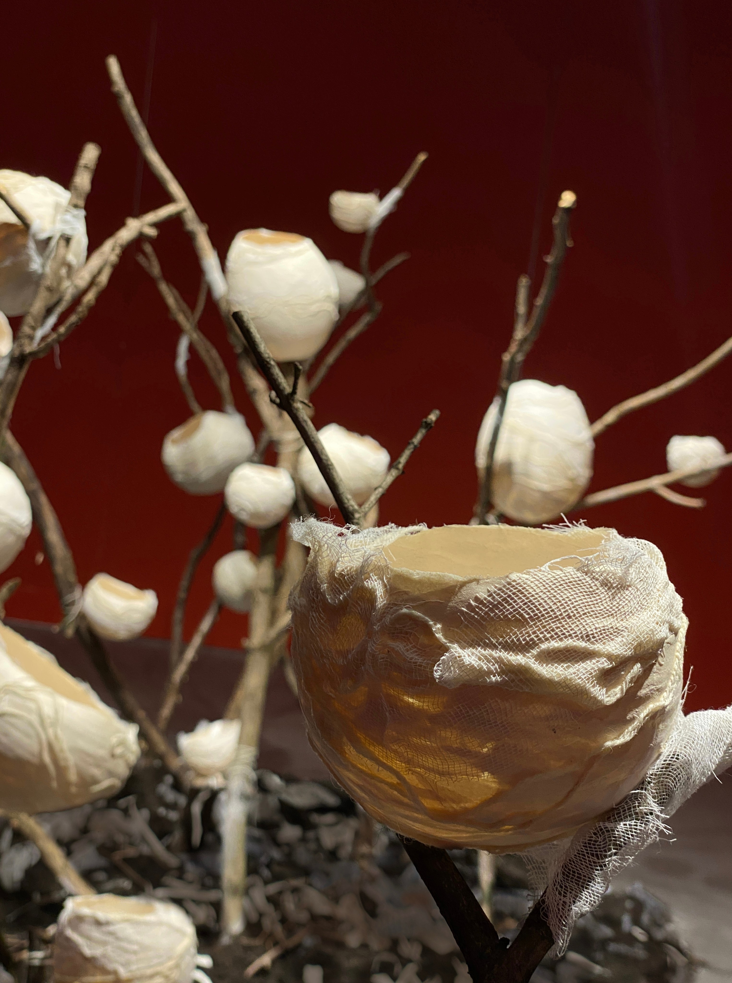 Papier, brindille, herbe, terreInstallation variable