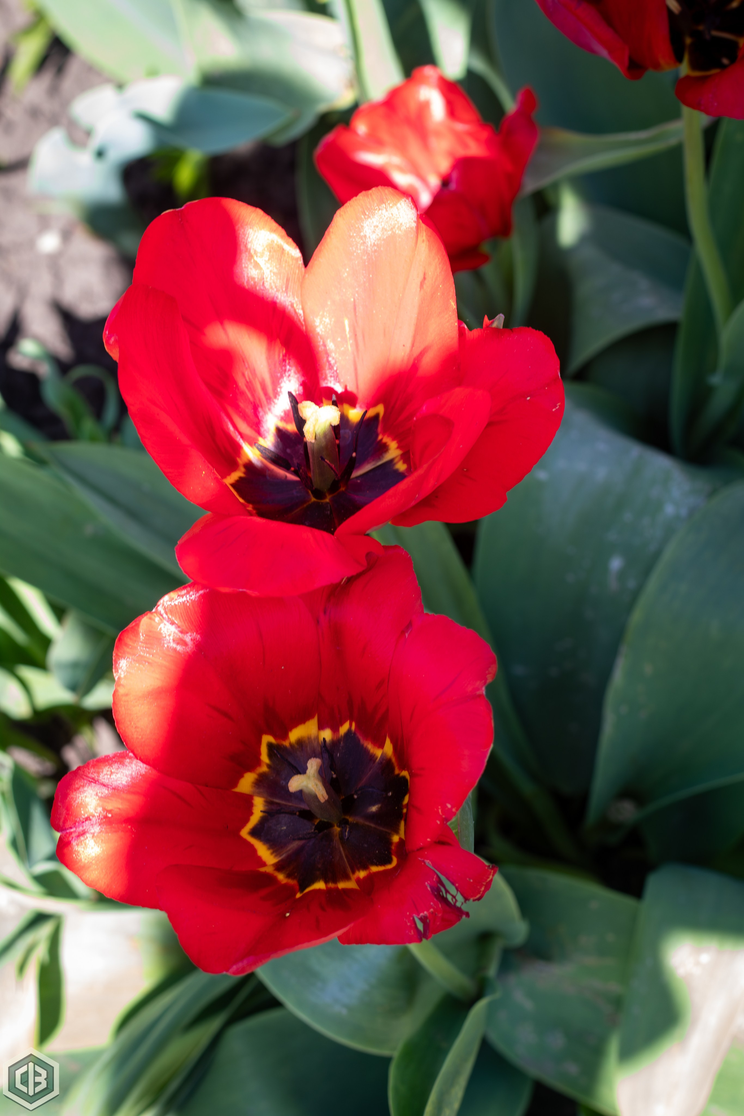 Trip to Mileanca. Cristian Baltag | Photography | Capturing Moments in Iasi