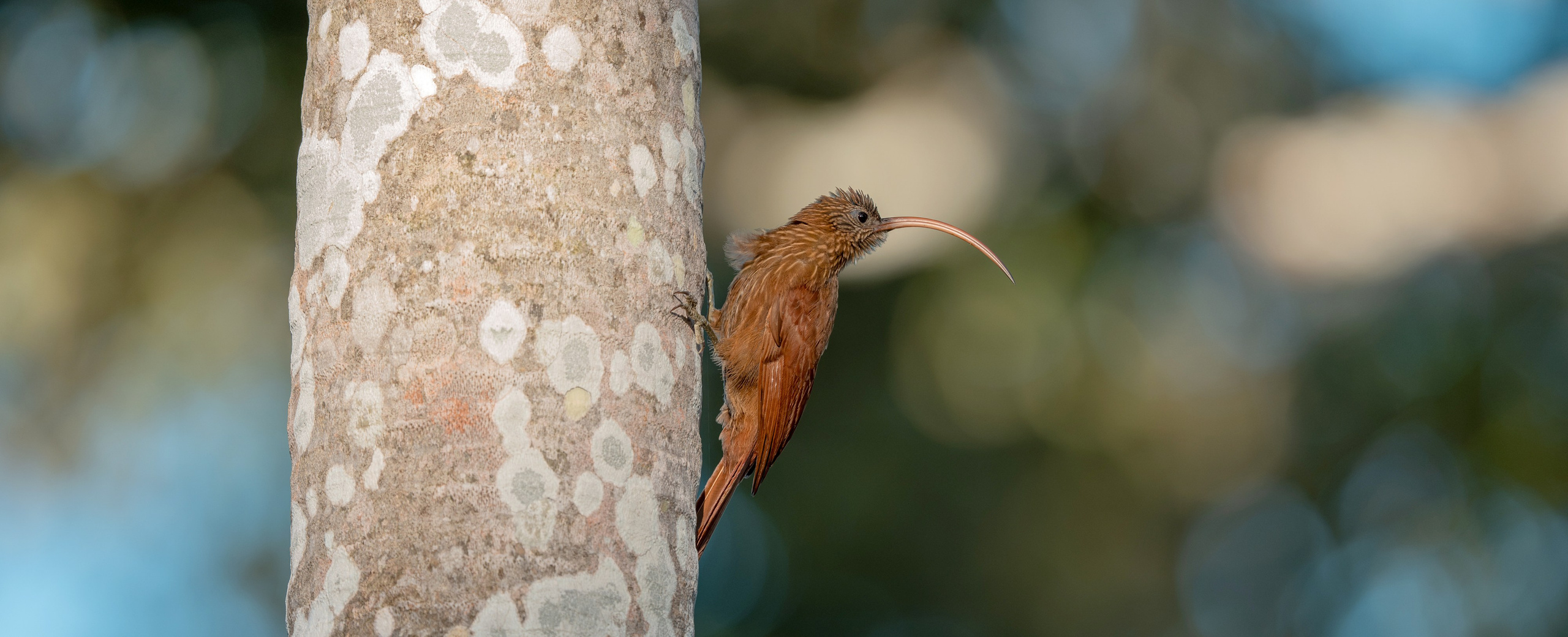 Nature photographer Yuri Soria-Galvarro