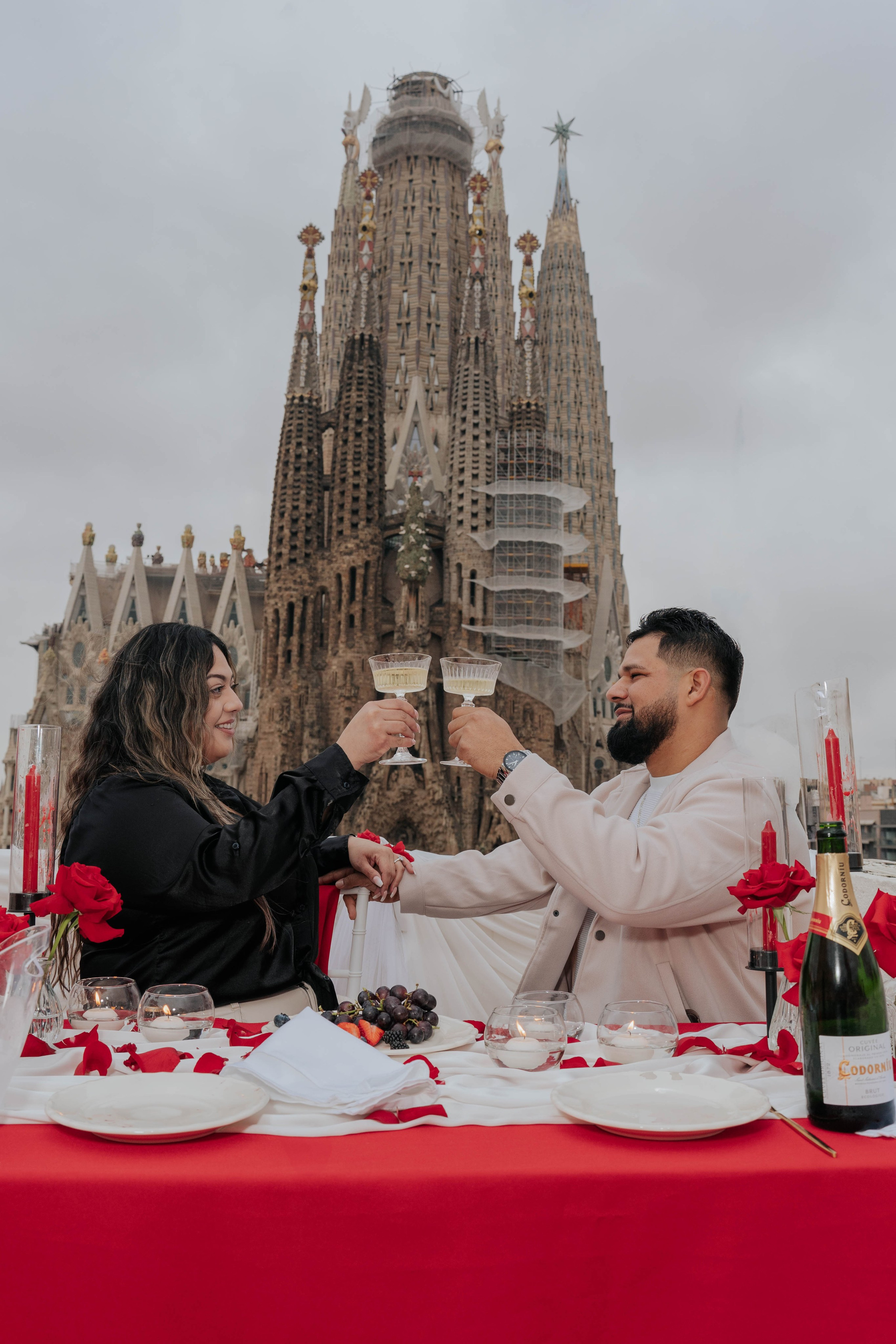 Sagrada Familia Terrace Proposal