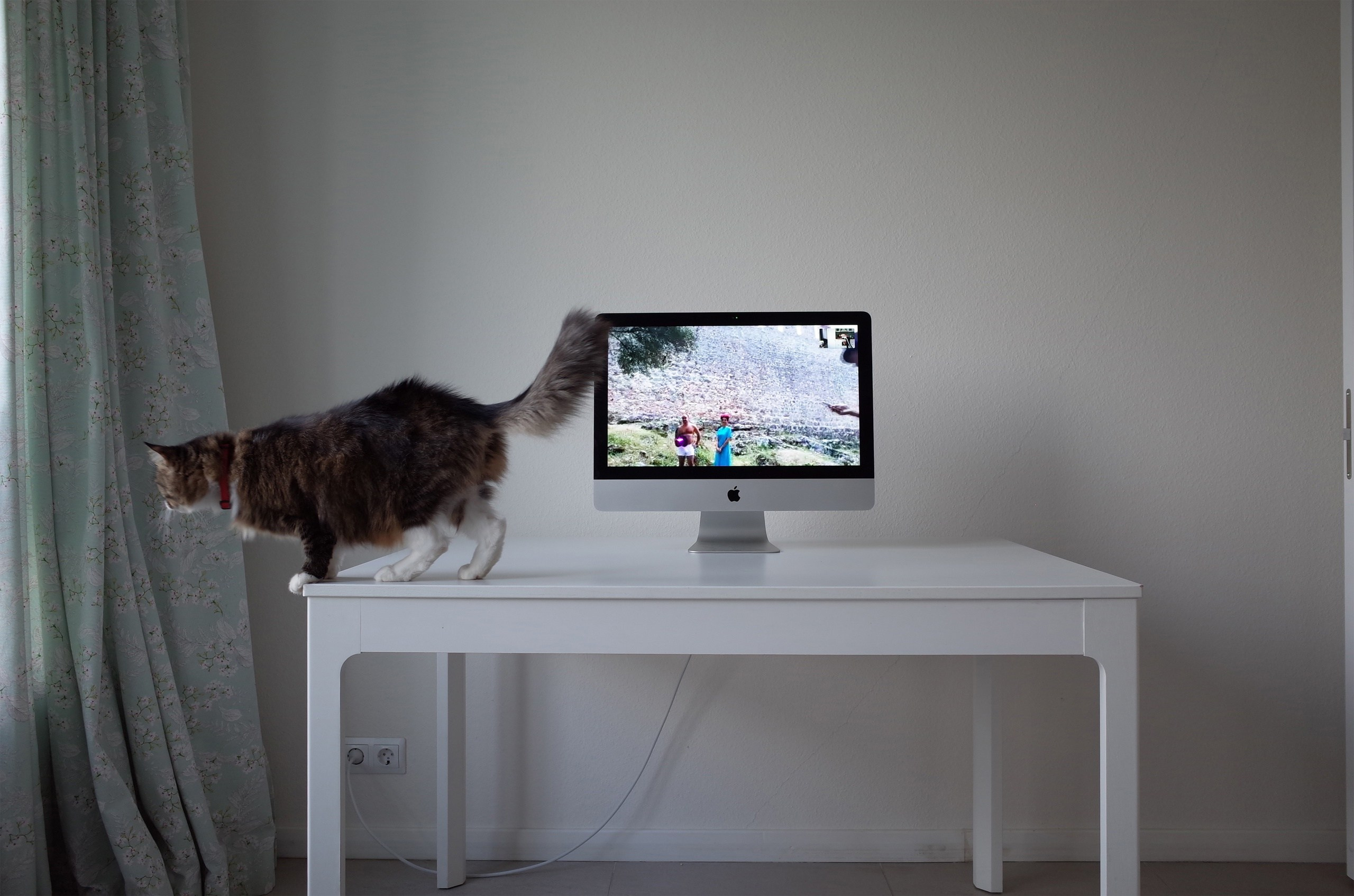 A digital performance merging photography and IT simulation. The artist, based in Israel, conducts a remote photoshoot with models in Turkey via a glitch-prone video call. The final images are intentionally pixelated, captured by photographing a computer screen—highlighting digital fragility and failed communication. A commentary on distance, technology, and the imperfections of virtual connection.