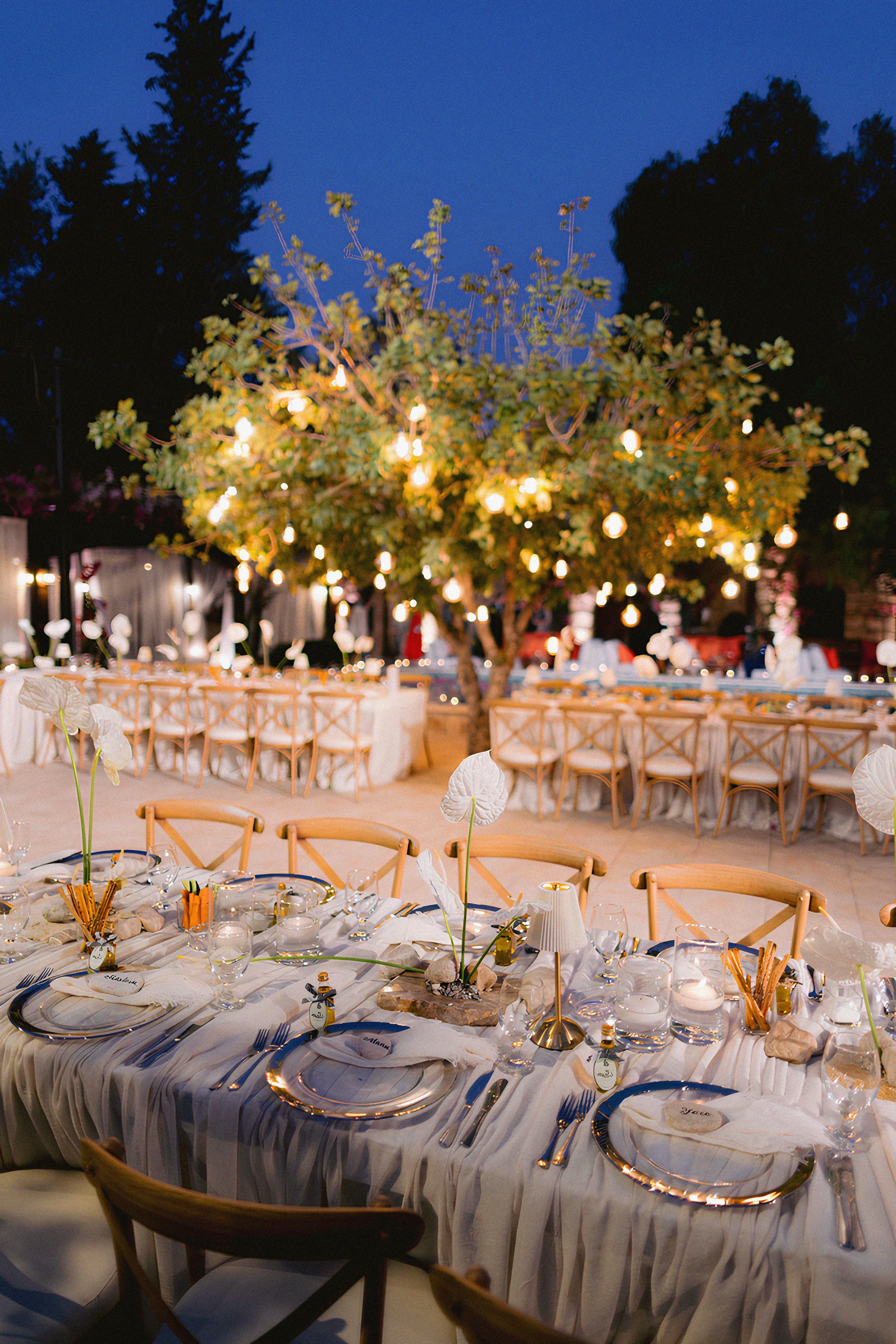 Греческие гости, греческие традиции