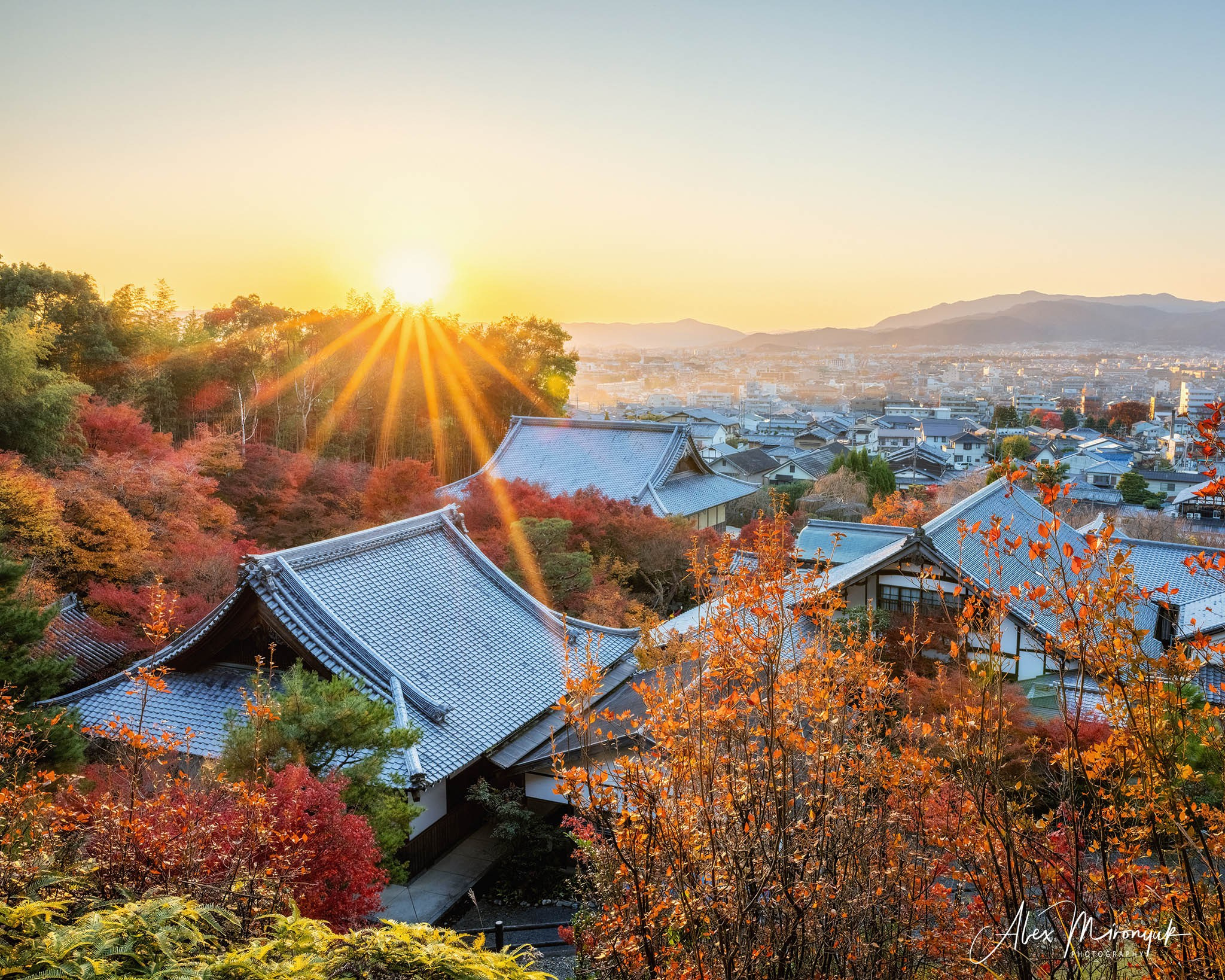 Autumn Colors of Japan. Pet, Senior, Landscape, portrait studio, photographer in Miami and Sou