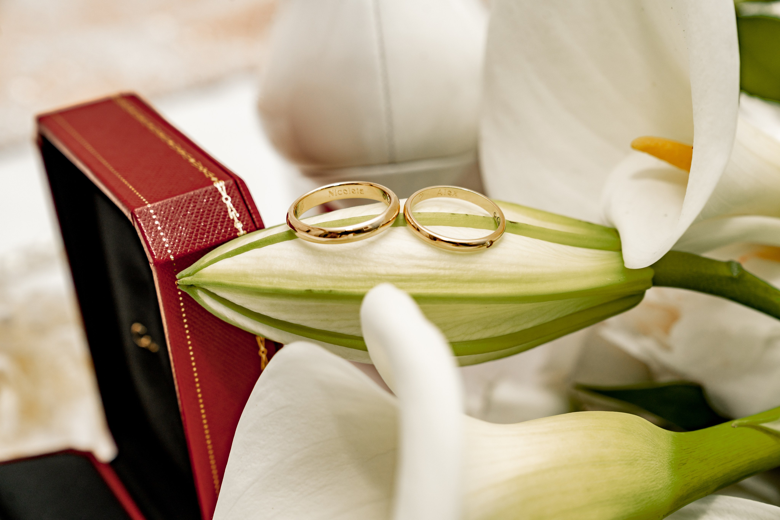 ÉVÉNEMENTS. Florica Ghiriti - photographer in Paris