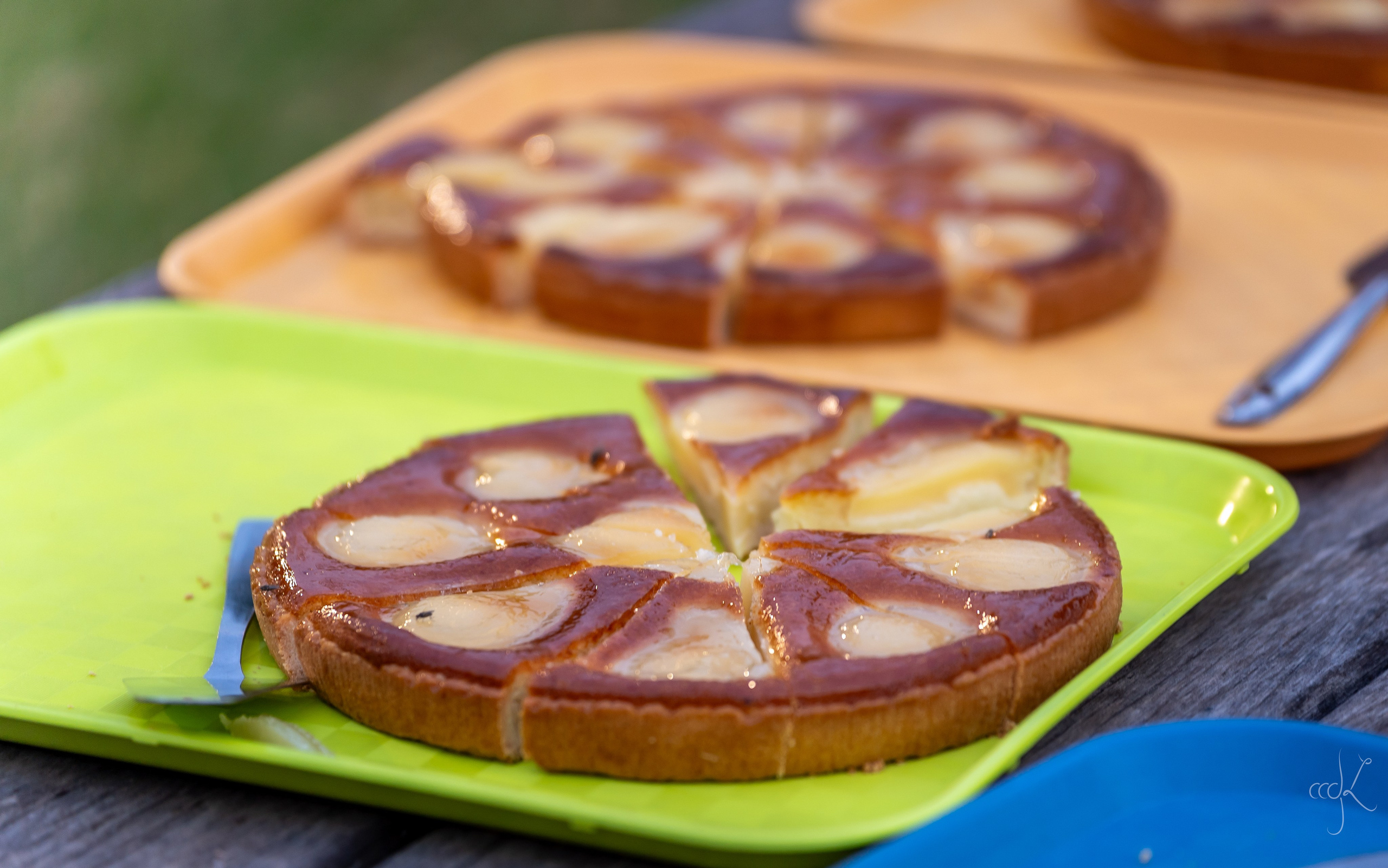 FLOWTIME: the 6th Cargèse summer school. Expect Miracles Photography by Kate & Andrew