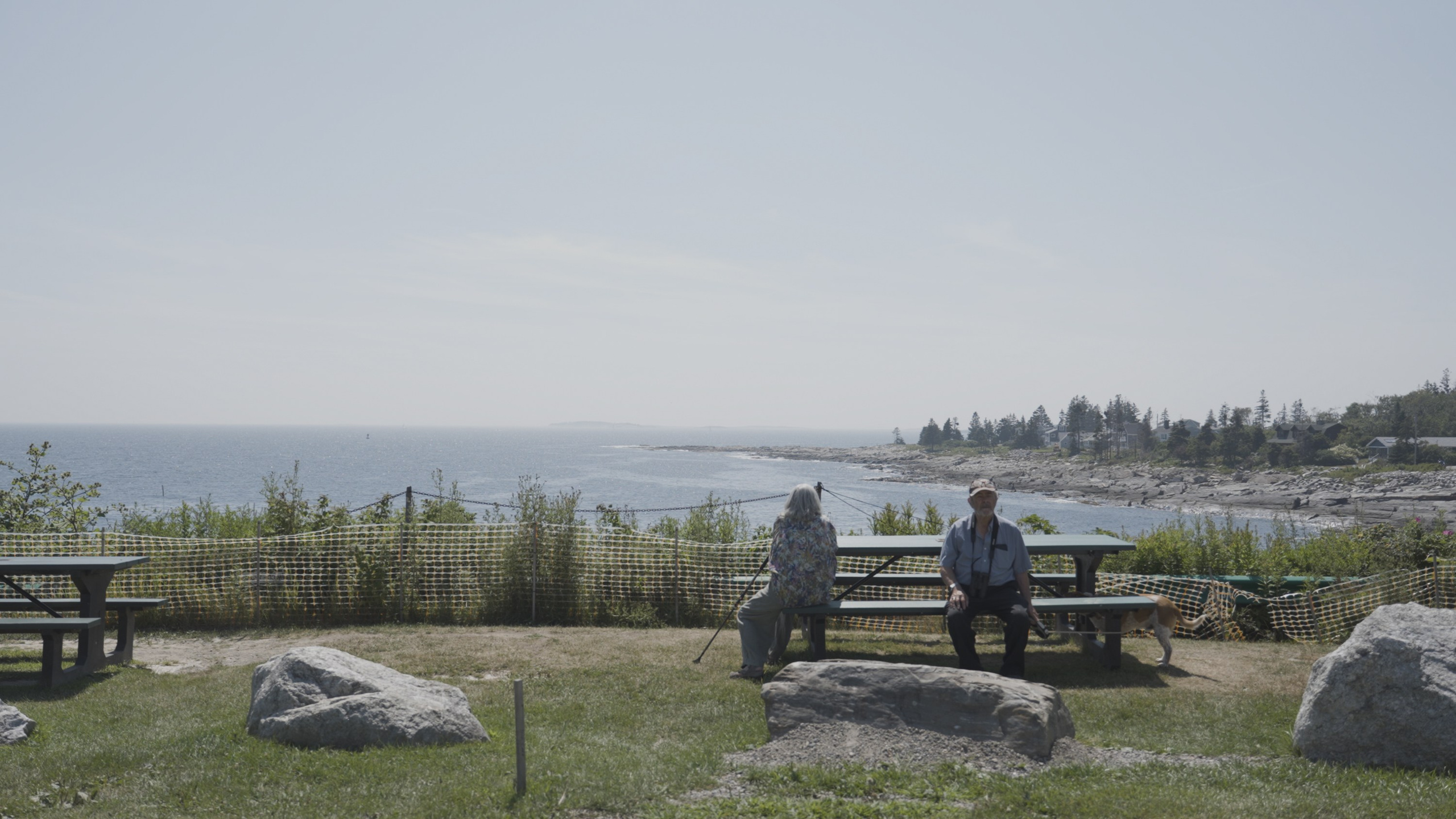 Wait and See. Tatiana Kireicheva