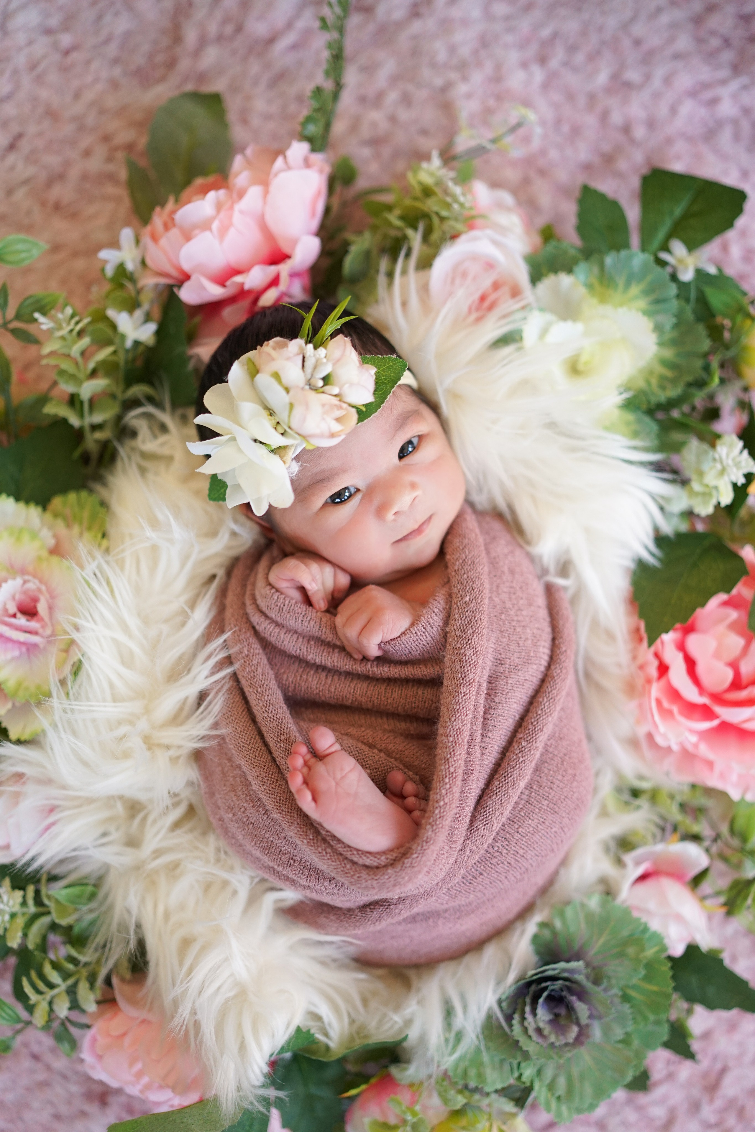 Posed Newborn. Maternity, family and newborn photography in San Francisco Bay Area