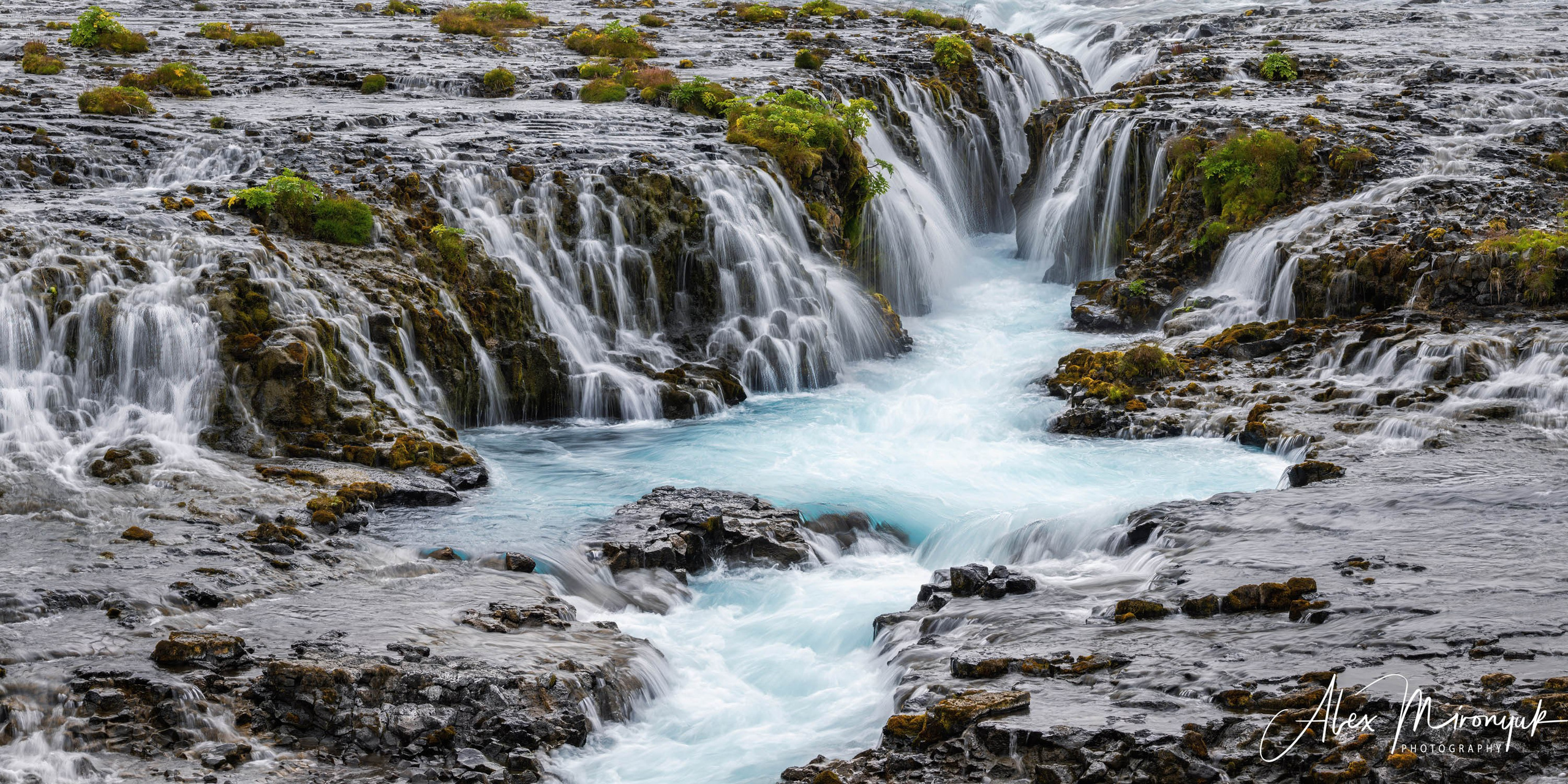 Unforgettable Iceland. Pet, Senior, Landscape, portrait studio, photographer in Miami and Sou