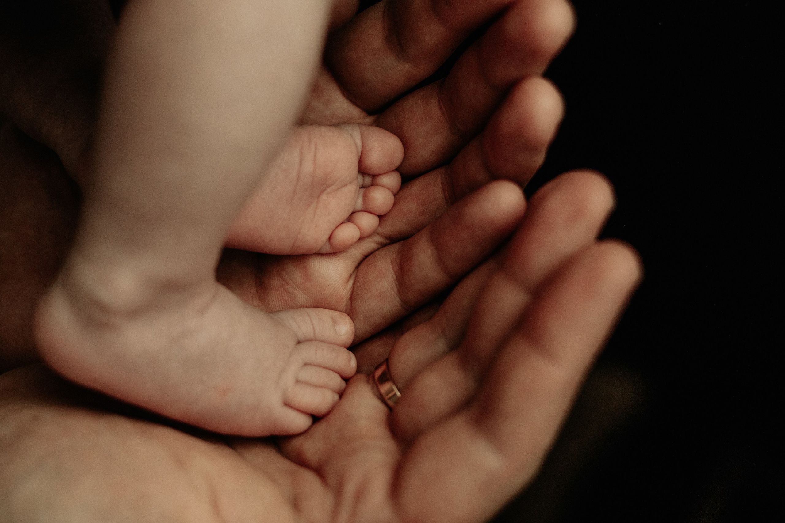 Newborn & Sibling Photography – First Precious Moments Together. Alisa Tant — Family and newborn photographer Bucks County, Montgomery county, Philadelphia, NJ