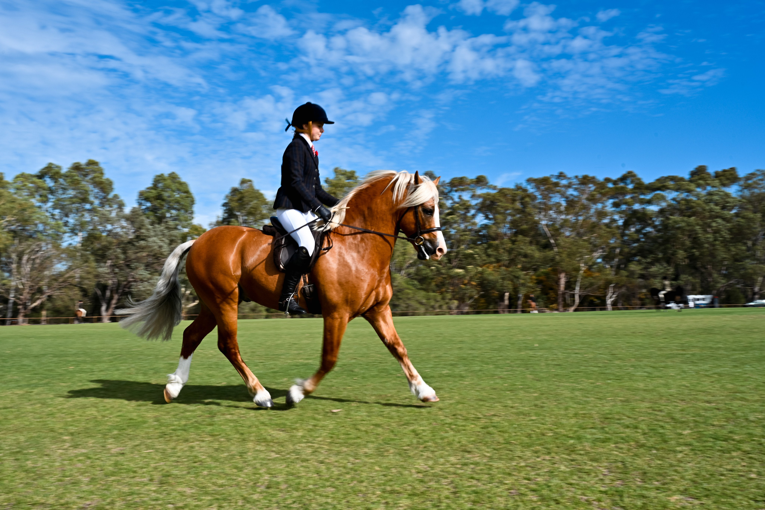 Moments to Memories 📸 Weddings • Portraits • Events • Birthdays Perth 🇦🇺