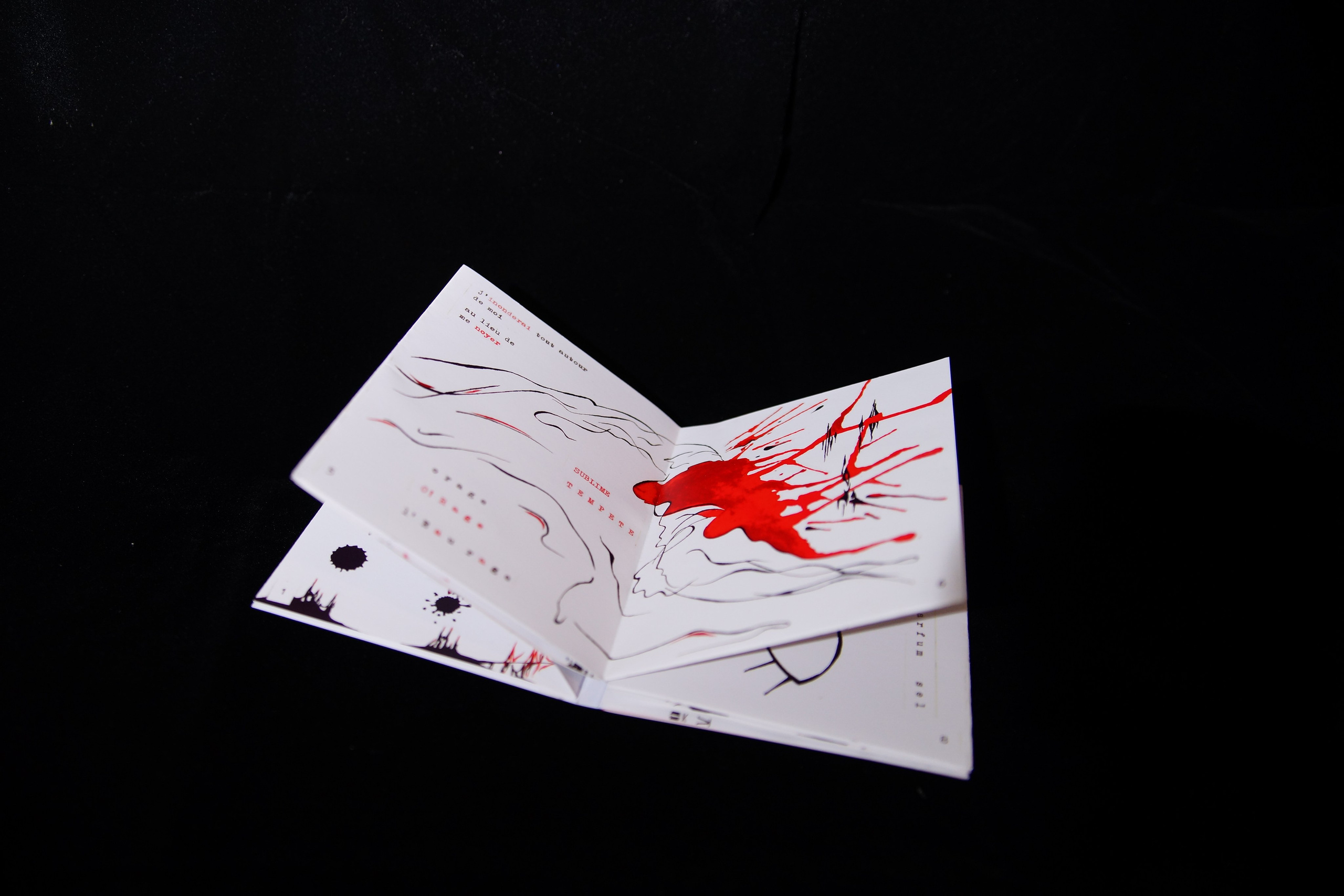 Products. Angelina Sorokopud. Artist in Strasbourg