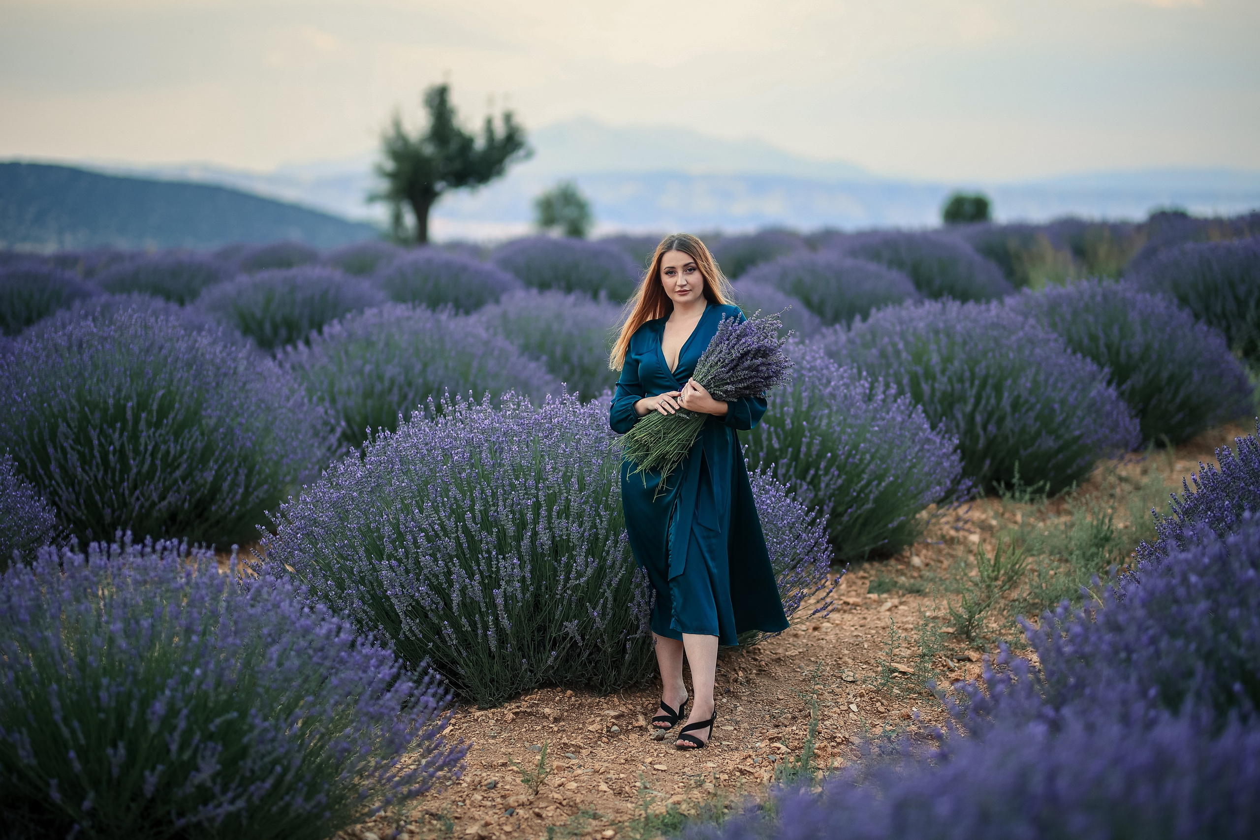 Lavender fields in Turkey. Photographer in Turkey, Antalya, Kemer, Belek, Side, Kas, Fethiye