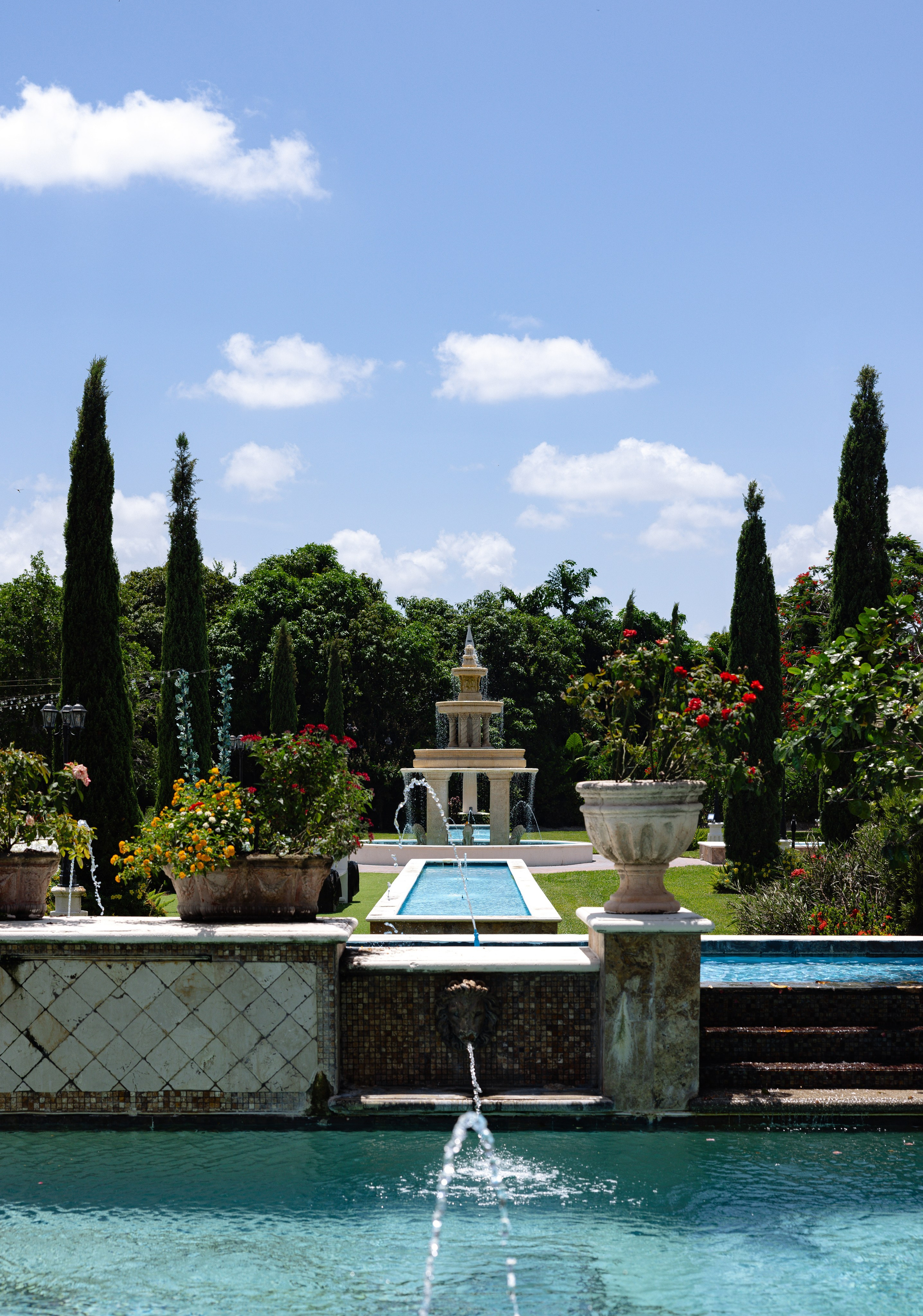 Investment. Photographer Anastasia Nagibina