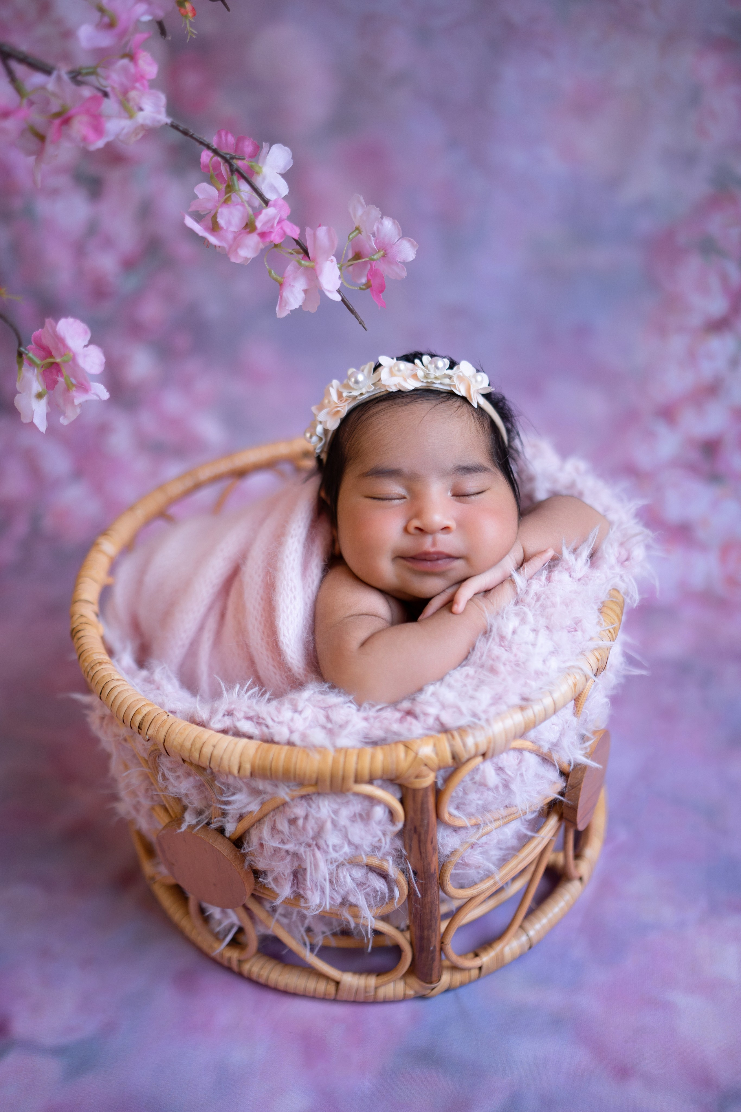 Posed Newborn. Maternity, family and newborn photography in San Francisco Bay Area
