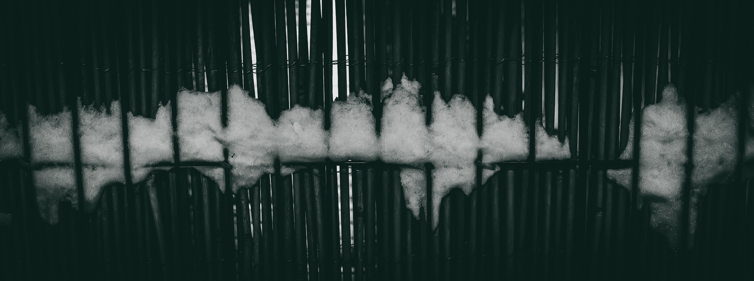 Nebula 25 — Fotod teie hingele