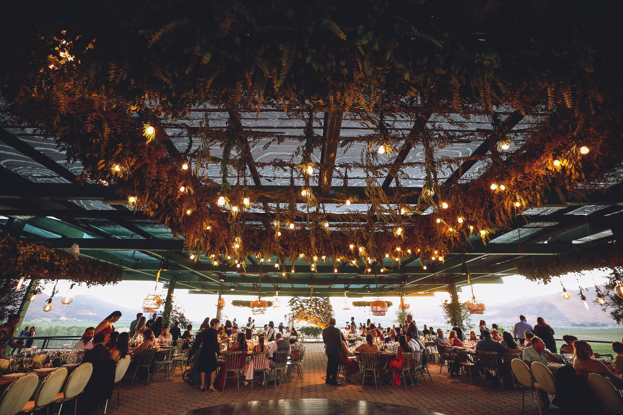LA Cetto Valle de Guadalupe Boda Araceli e Israel. Estudio de fotografia en Tijuana
