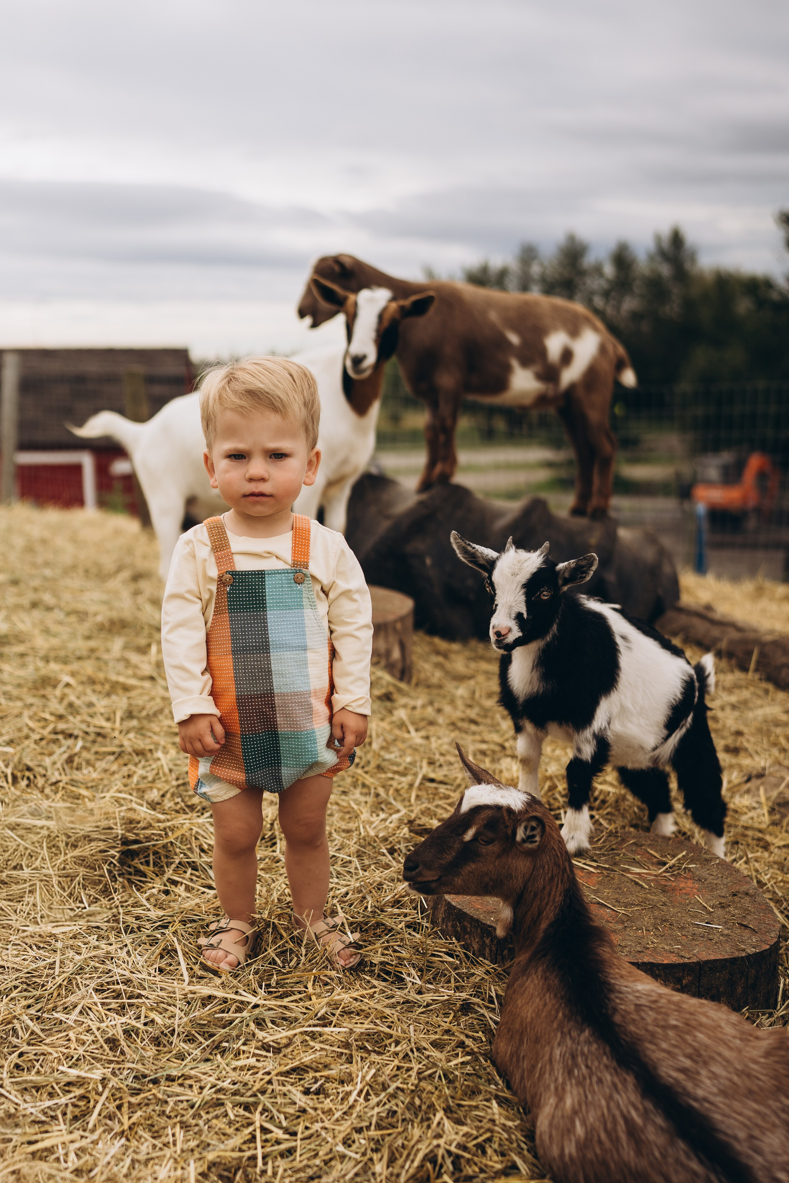 Calgary Wedding & Lifestyle Photographer — Yevhen Polishchuk