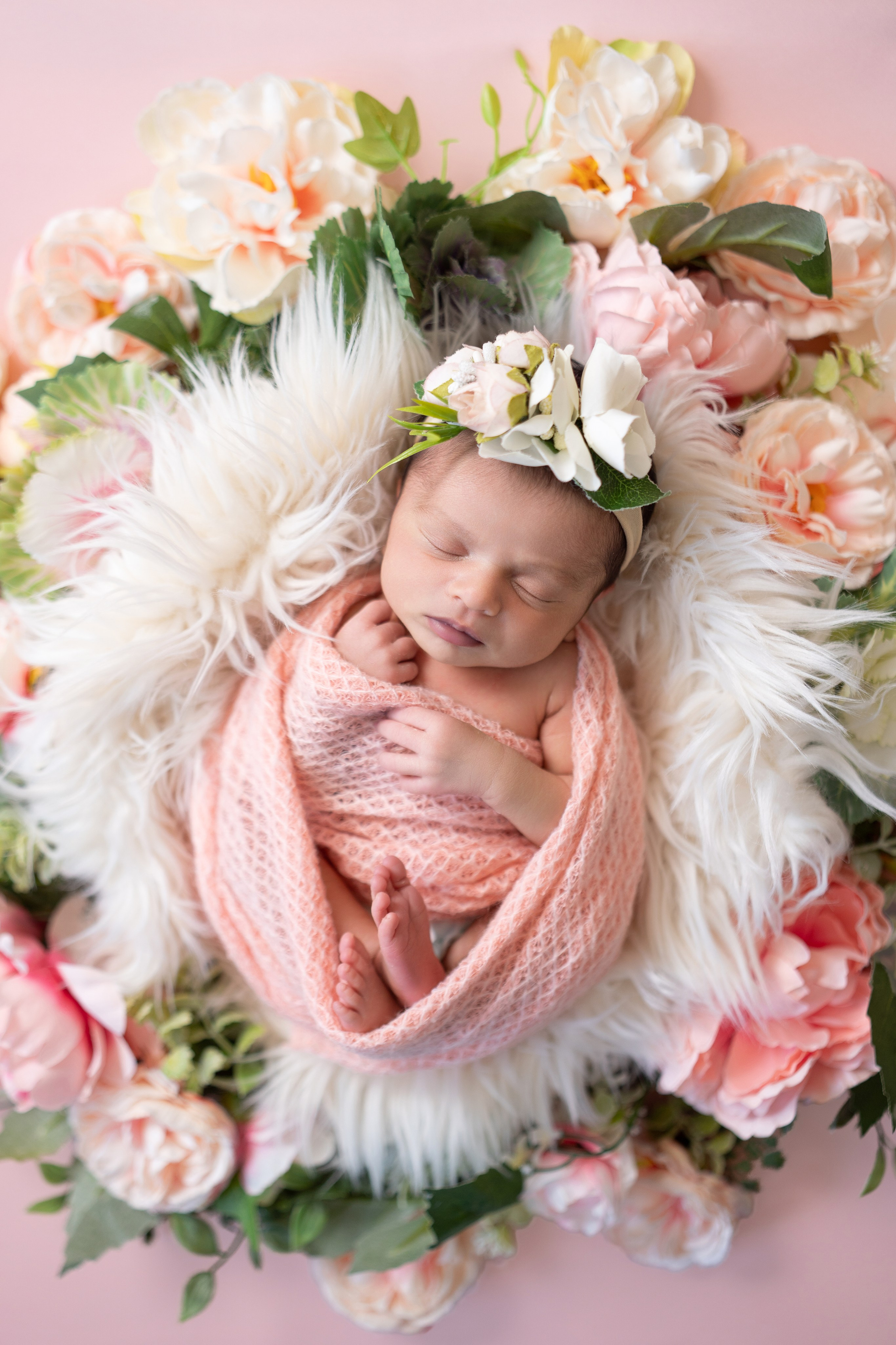 Posed Newborn. Maternity, family and newborn photography in San Francisco Bay Area