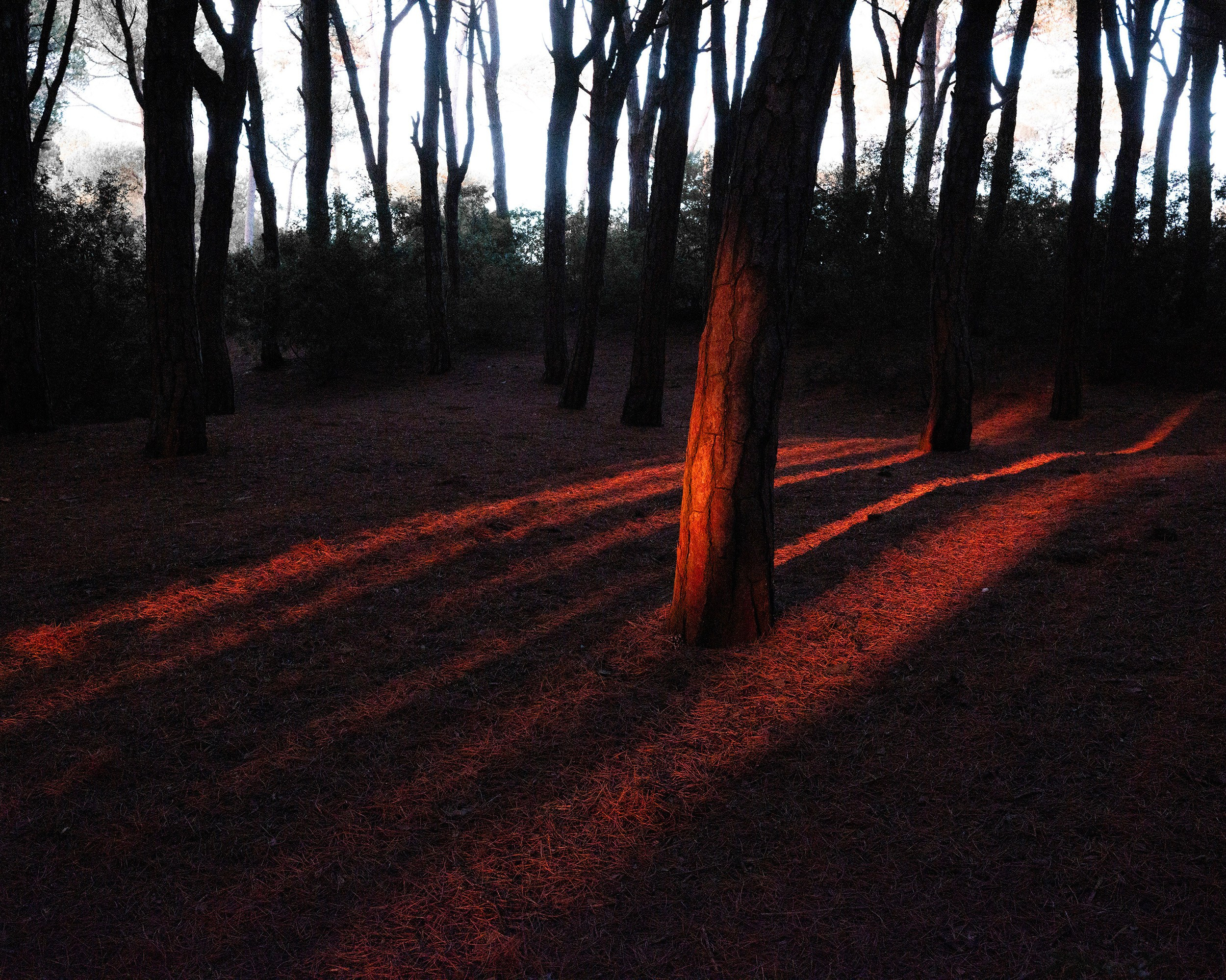 Katya Bogachevskaya — independent curator, lecturer