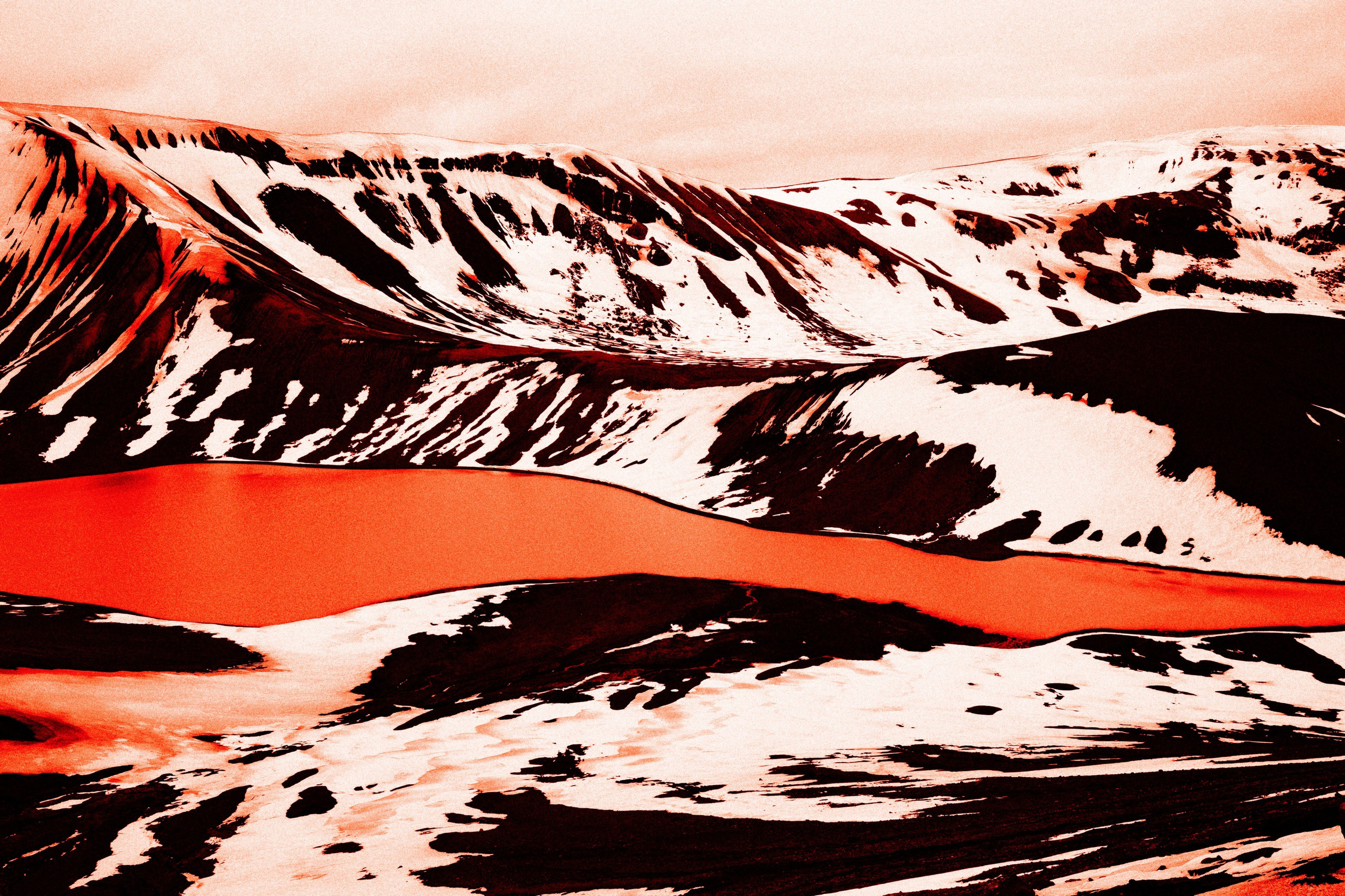 FEVER. Paulina Zhur — Visual Artist