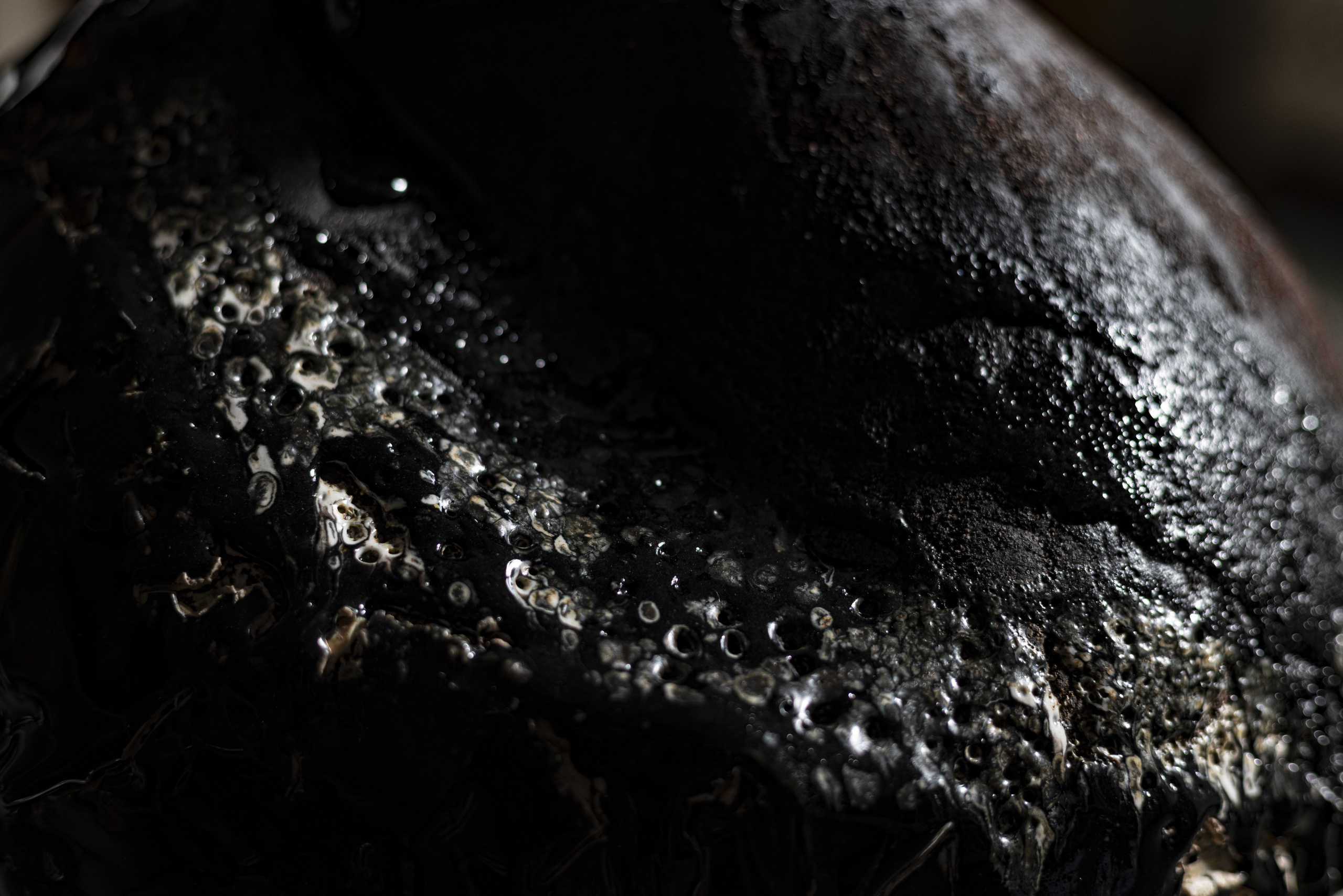 « Évolution de l’archaïque ». Natalia Bogdanovska. Films et photographie corporate en France