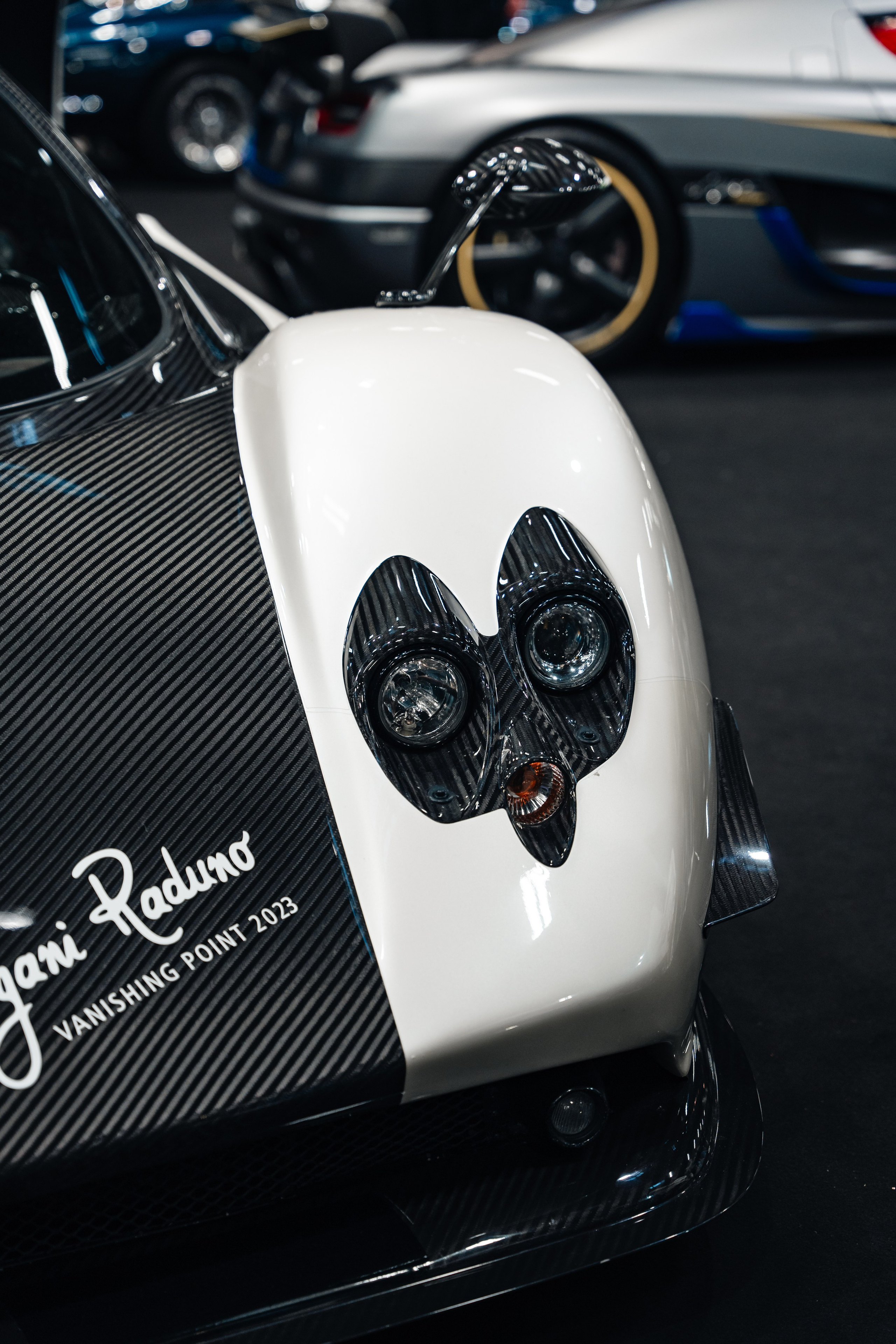 Retromobile-2024. Photographe de voitures à Paris — Vitalii Motruk