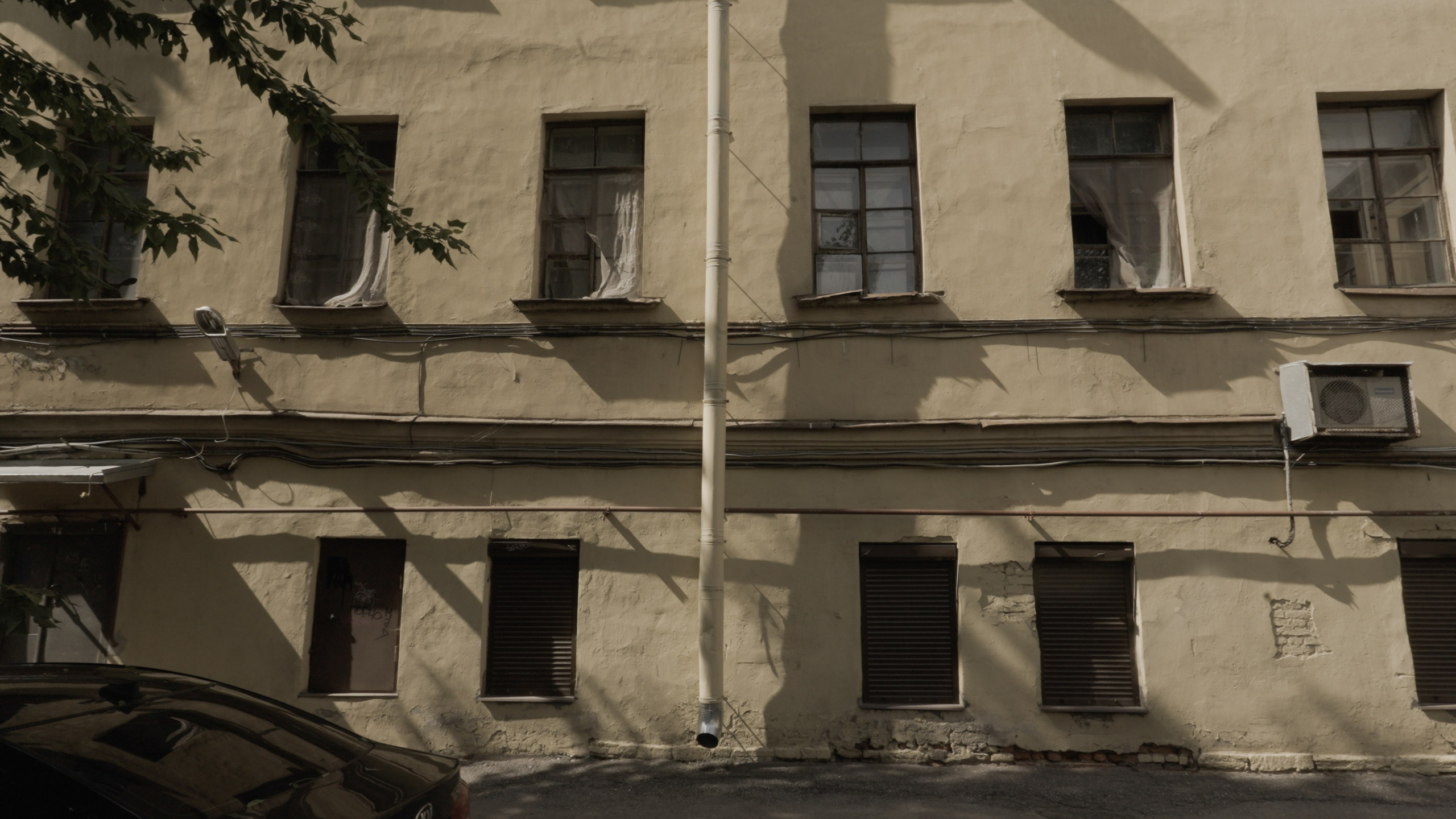 Wait and See. Tatiana Kireicheva