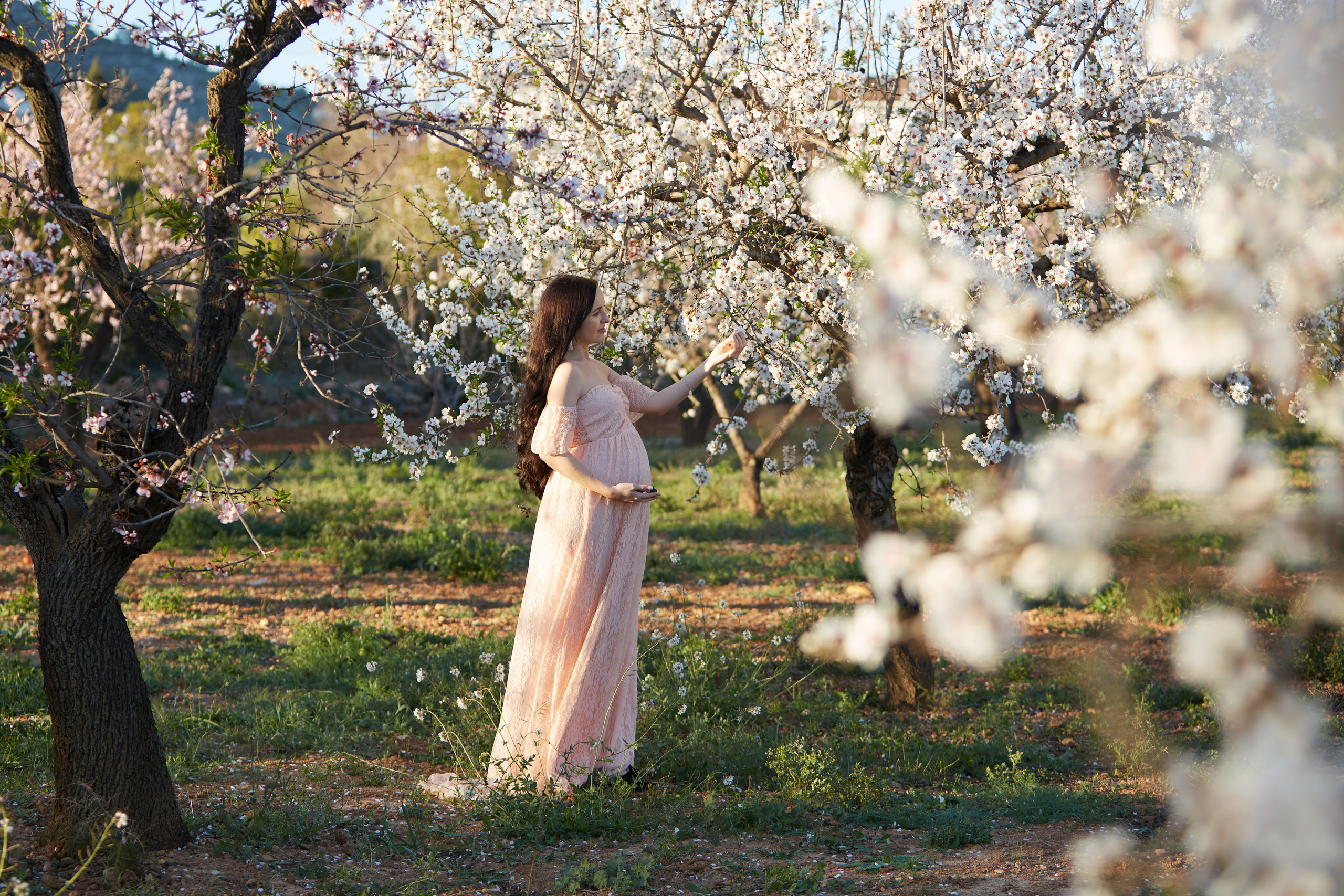 Миндаль. NATALYA FOTOS FOTOGRAFO ALTEA - ALICANTE Семейный фотограф в Аликанте