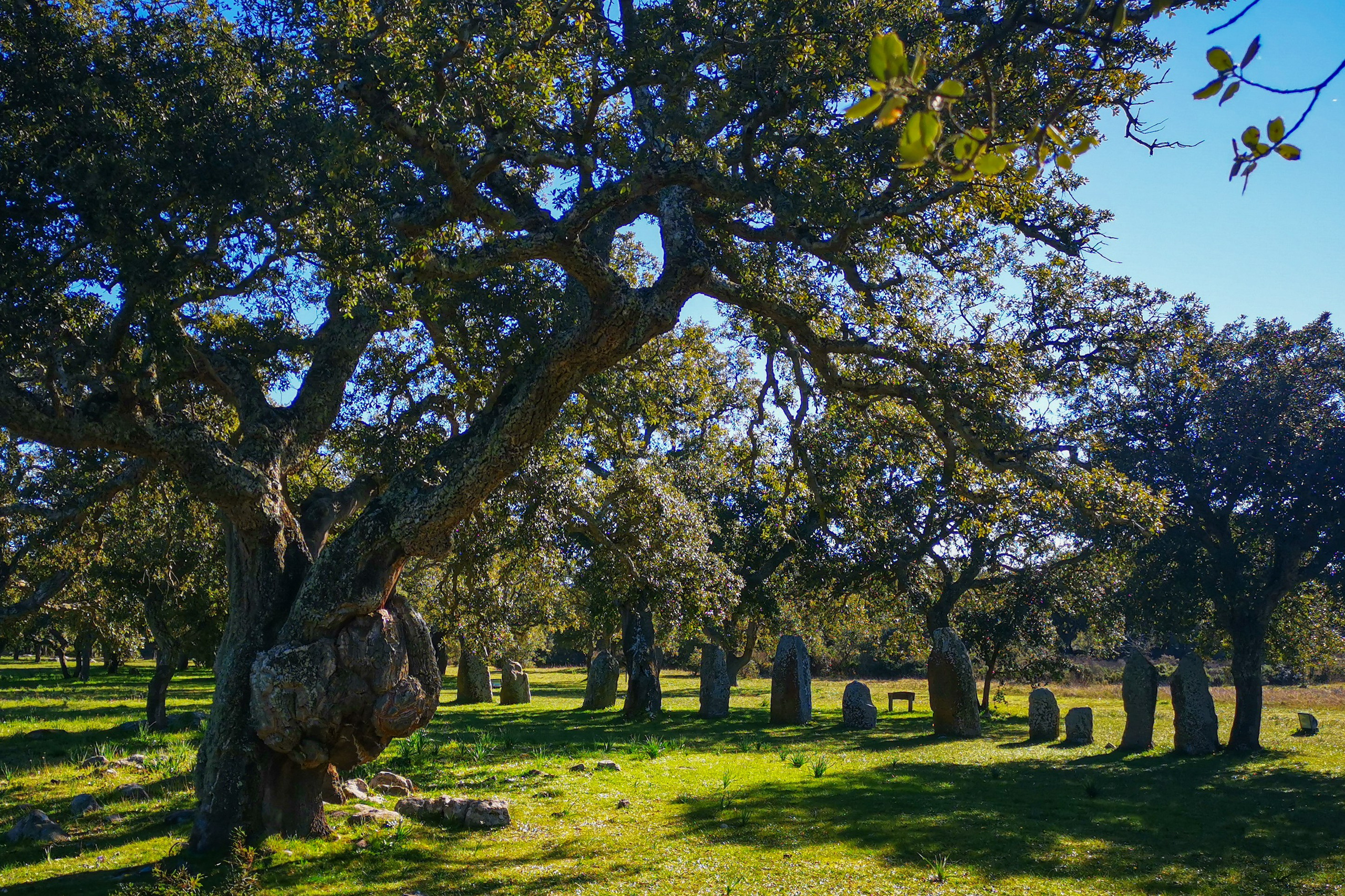 Paesaggi. Olga Manukhina fotografo in Sardegna