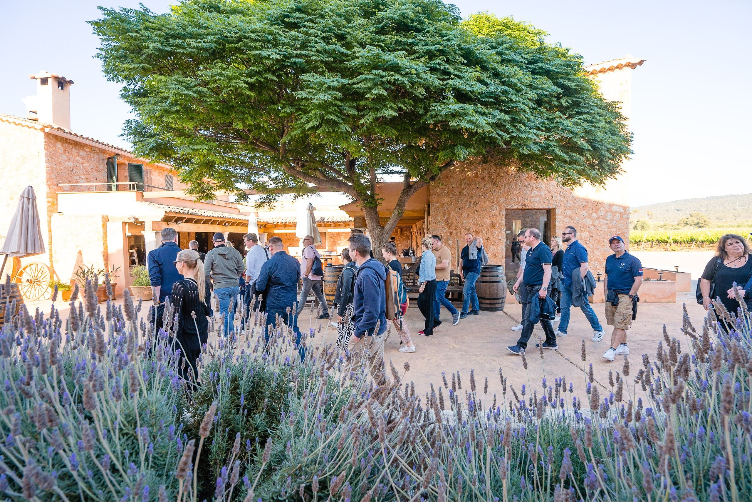 Securitas Awards in Mallorca. Mallorca Wedding, Corporate & Social Photographer