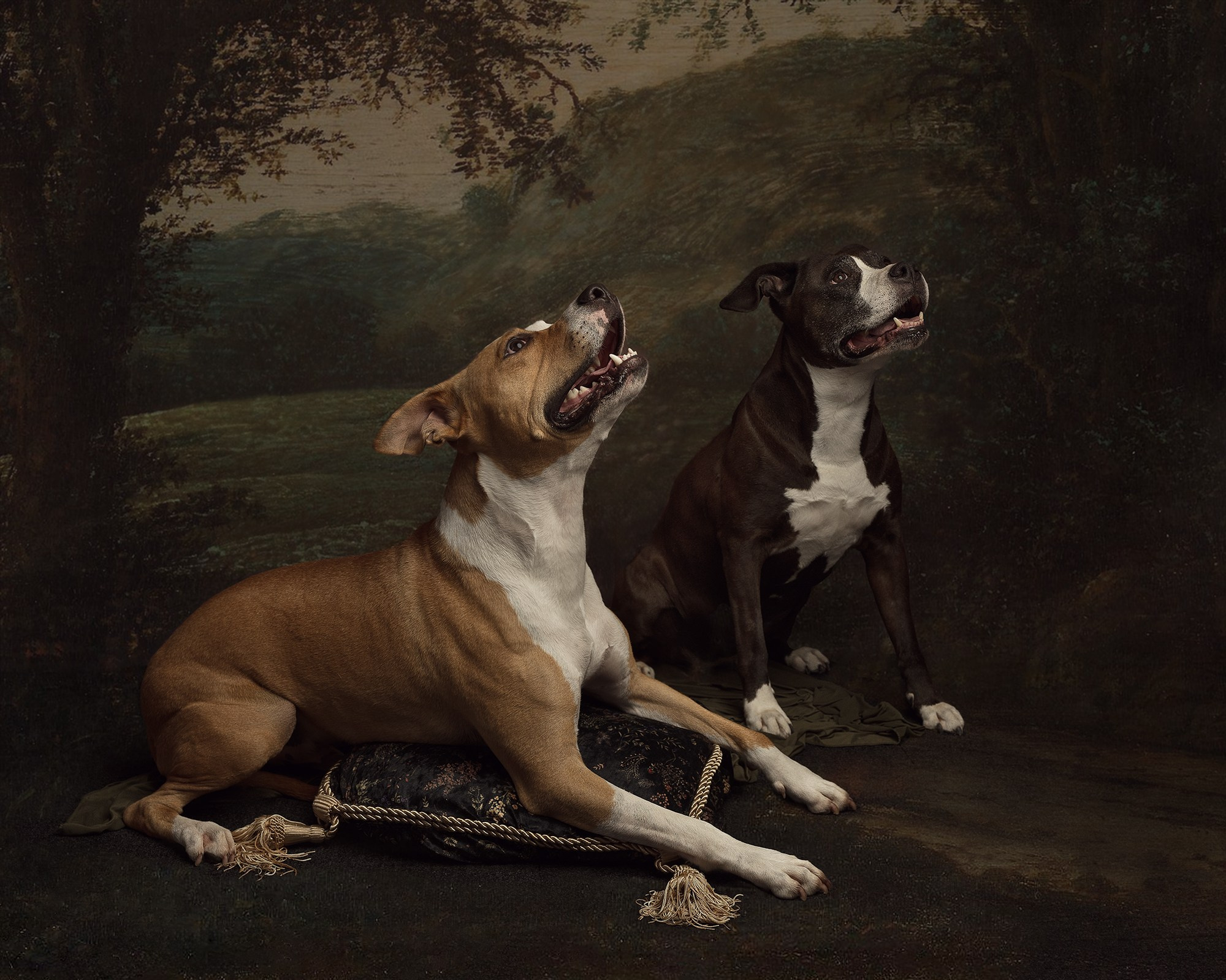 Sesiones. DIANA TRILLO_PHOTOGRAPHY