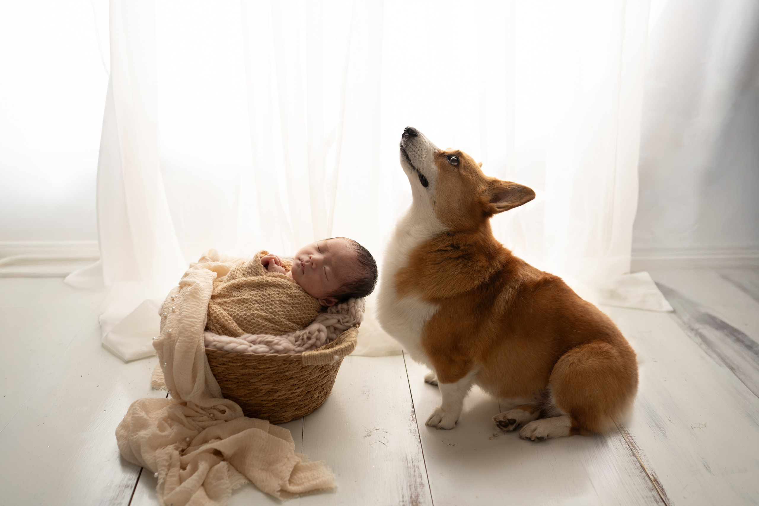Posed Newborn. Maternity, family and newborn photography in San Francisco Bay Area