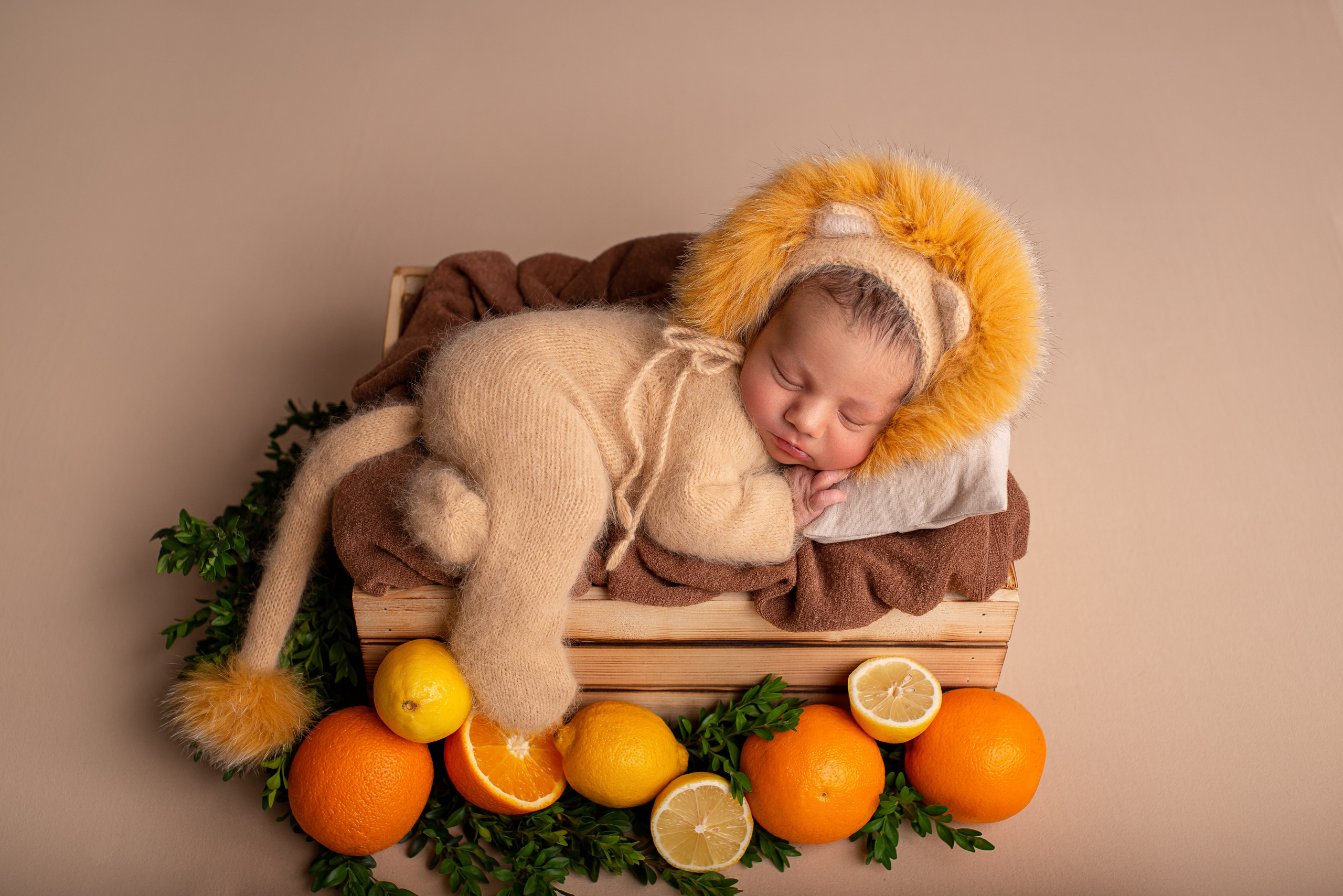 Neugeborenenfotos in Berlin – Studio oder bei Ihnen zu Hause