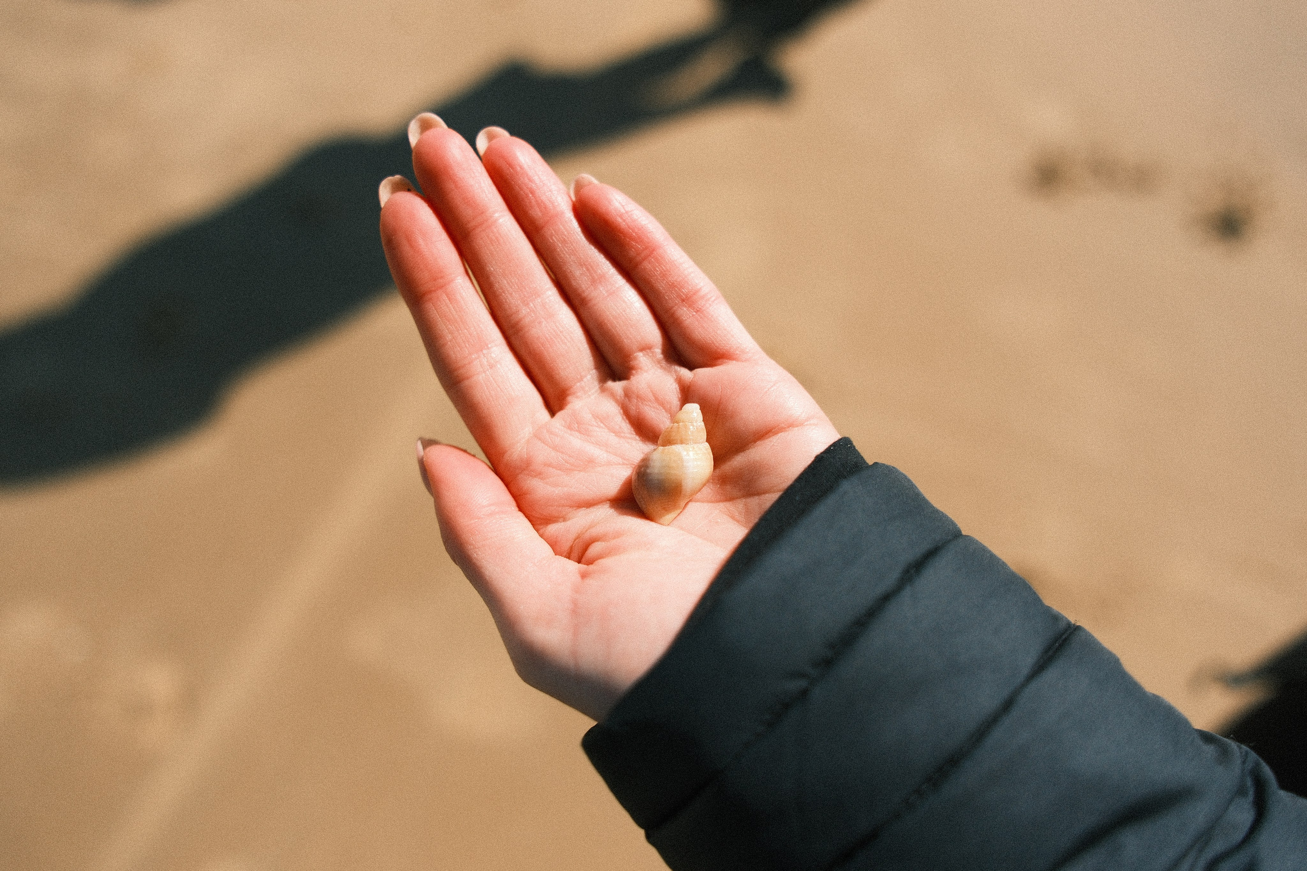 The Lens Fujifilm Should Have Made. Callum Ecobichon