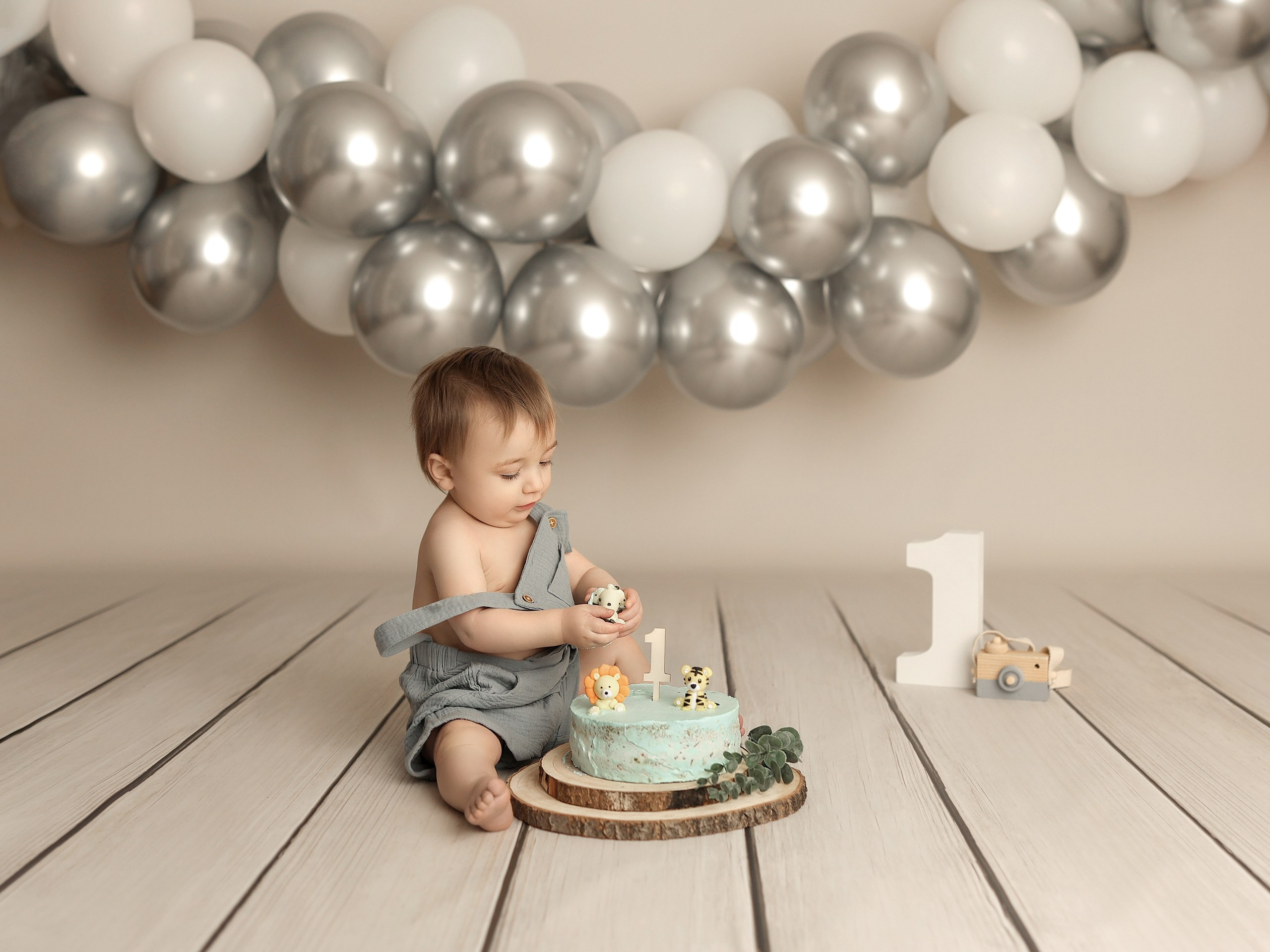 Cake Smash (Price). Familien- Fotografin in Marienhafe, Aurich, Emden, Norden, Leer